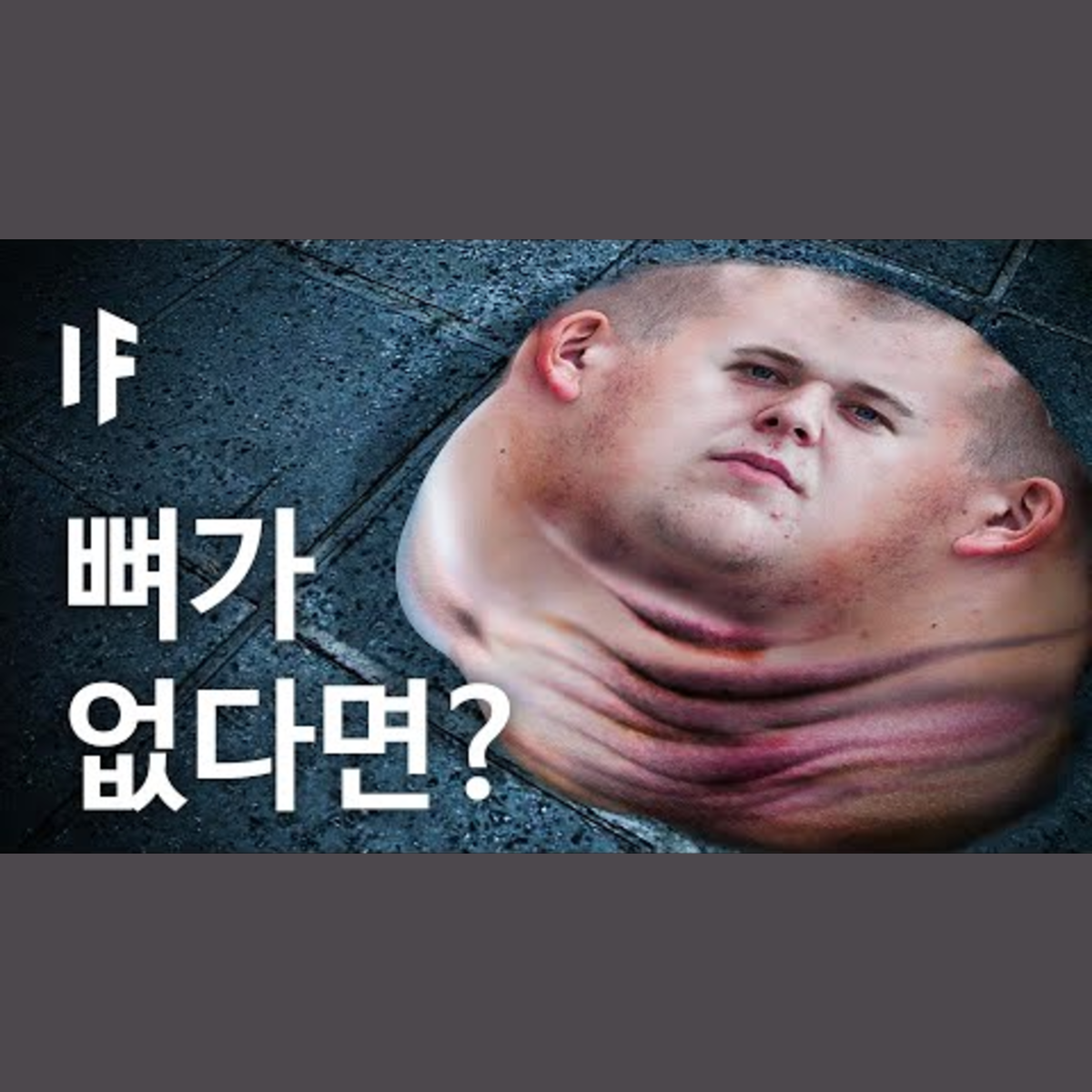 만약에 뼈가 없다면? [한국어 더빙] | 만약에 What If Korea episode artwork