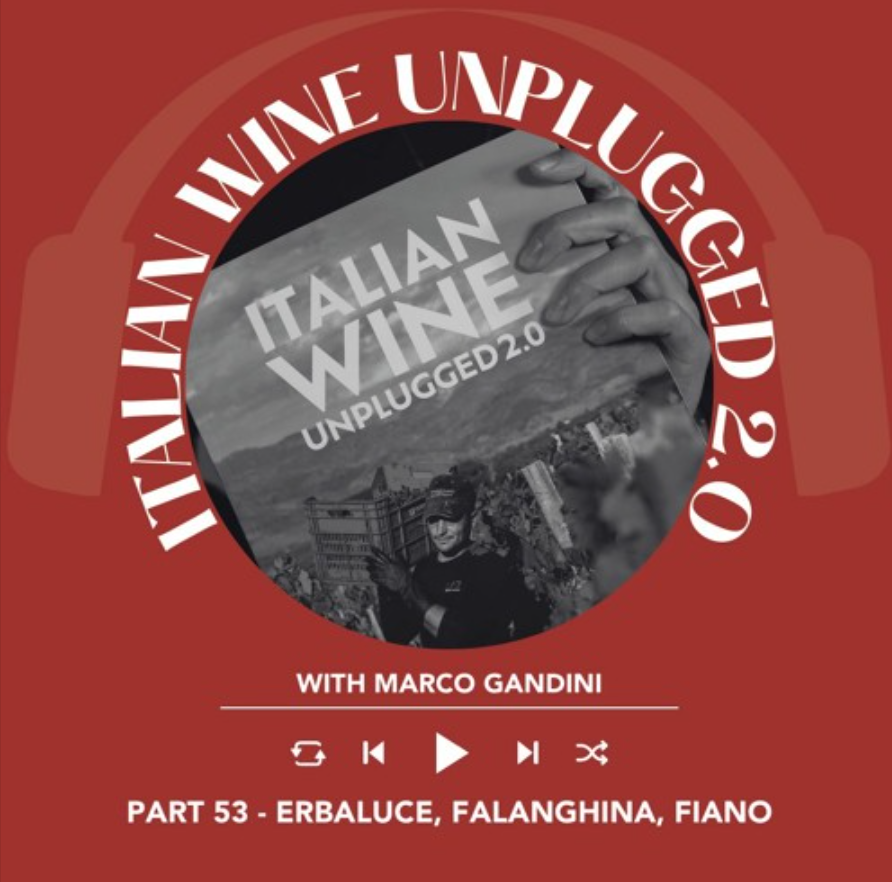 Marco Gandini Narrates Pt. 53 | Italian Wine Unplugged 2.0