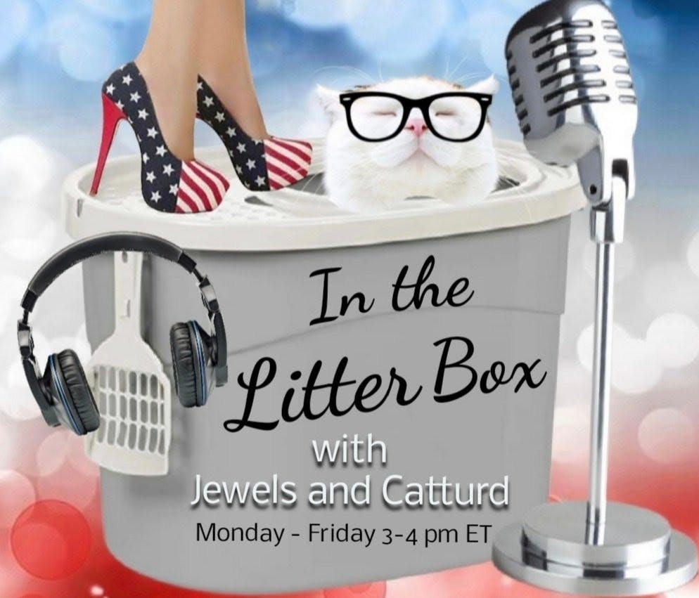 Special Guest Kash Patel | In the Litter Box w/ Jewels & Catturd - Ep. 531 - 3/15/2024