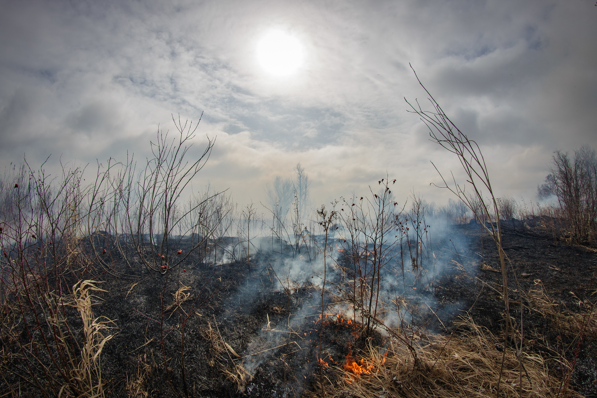 End of the World: Where Will Humanity Go?