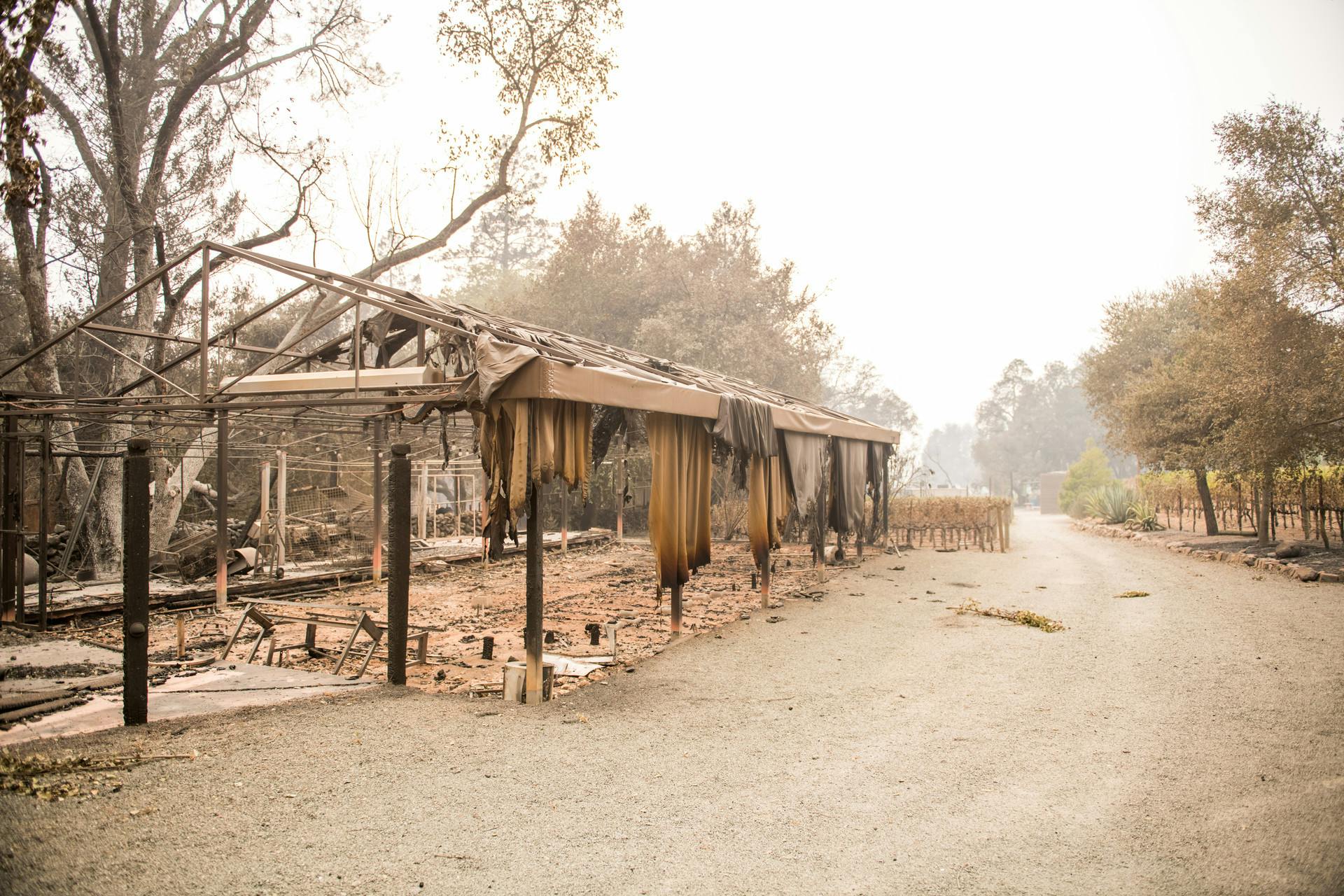 The North Bay Journalist Providing Vital Fire Information for Her Neighbors