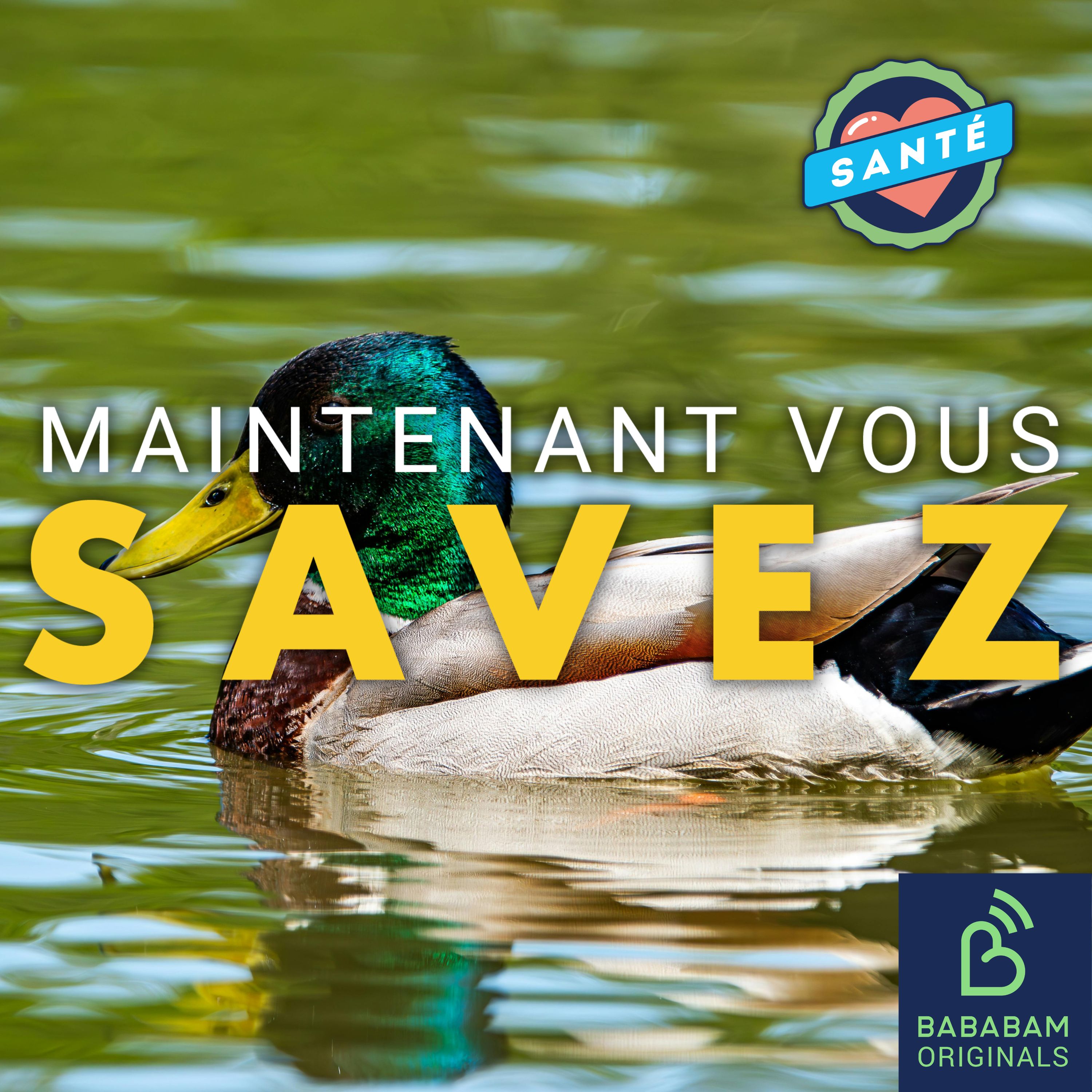 Qu’est-ce que le syndrome du canard flottant, qui use votre santé mentale au travail ?
