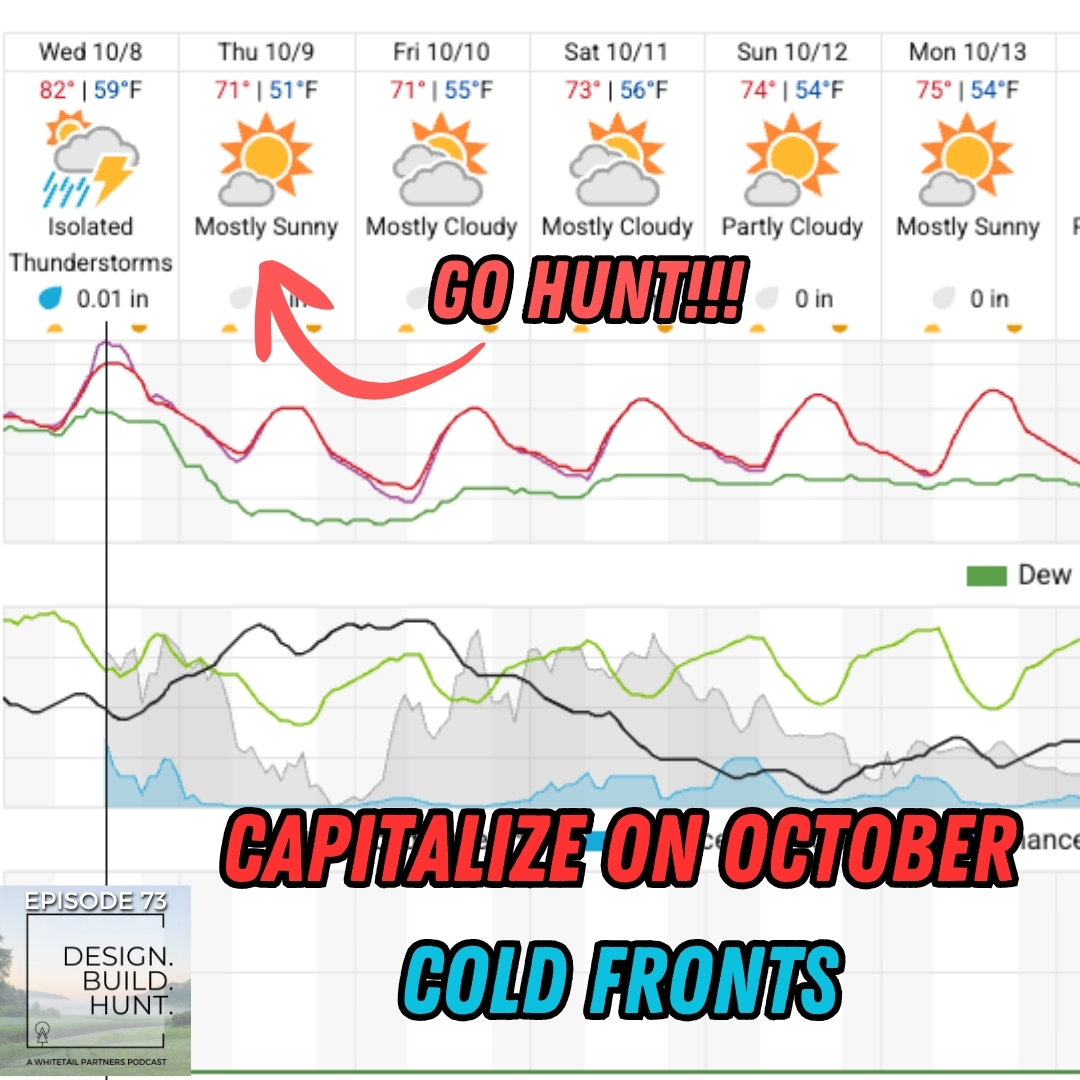 73. CAPITALIZE on October COLD FRONTS!