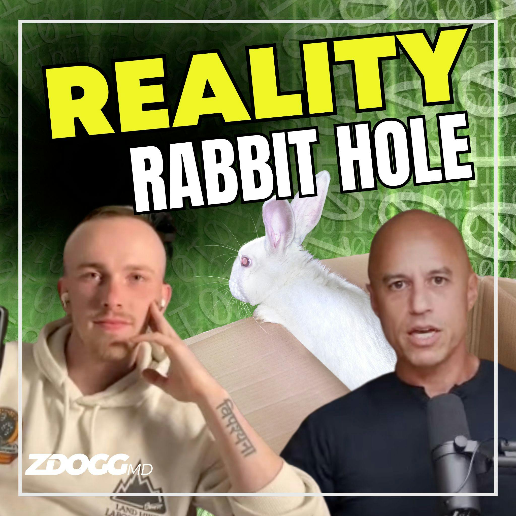 Down The Reality Rabbit Hole (w/David Mc Donald)