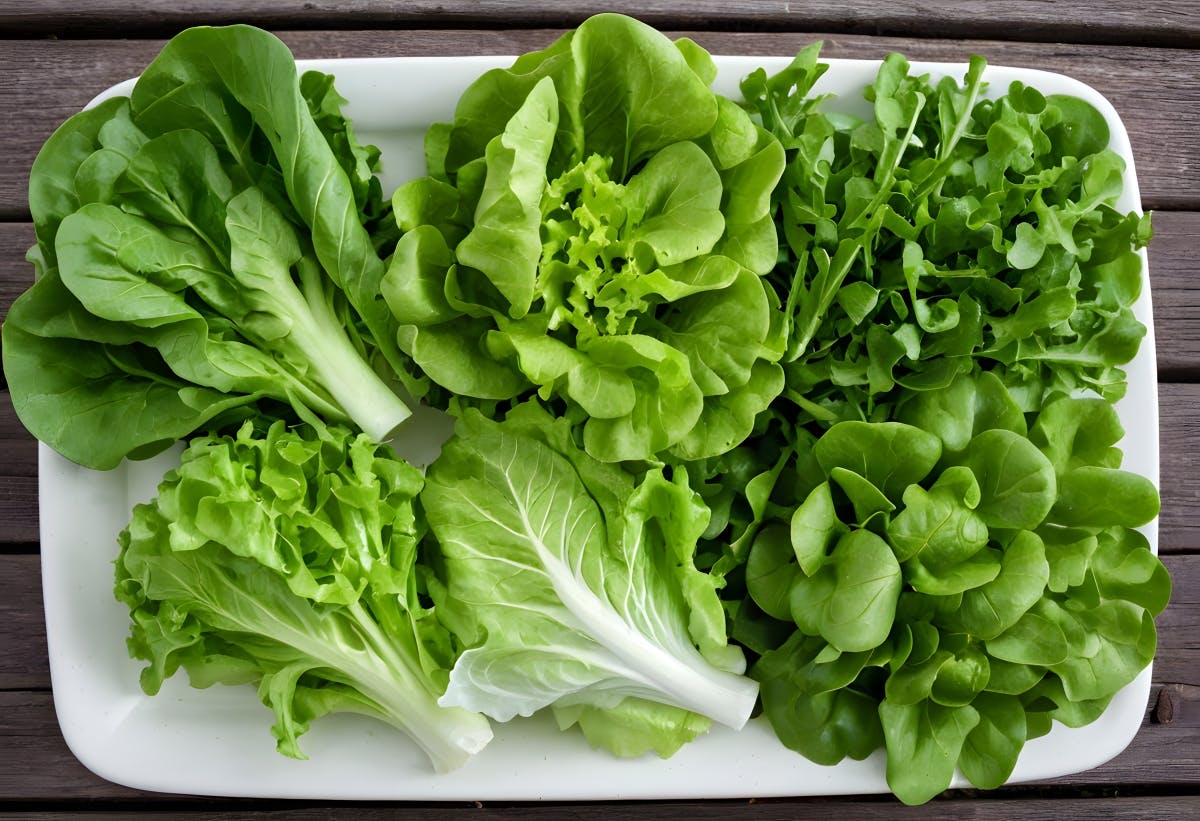 Lechugas con actitud: la guía definitiva para no aburrirte con la ensalada Lechugas con actitud: la guía definitiva para no aburrirte con la ensalada