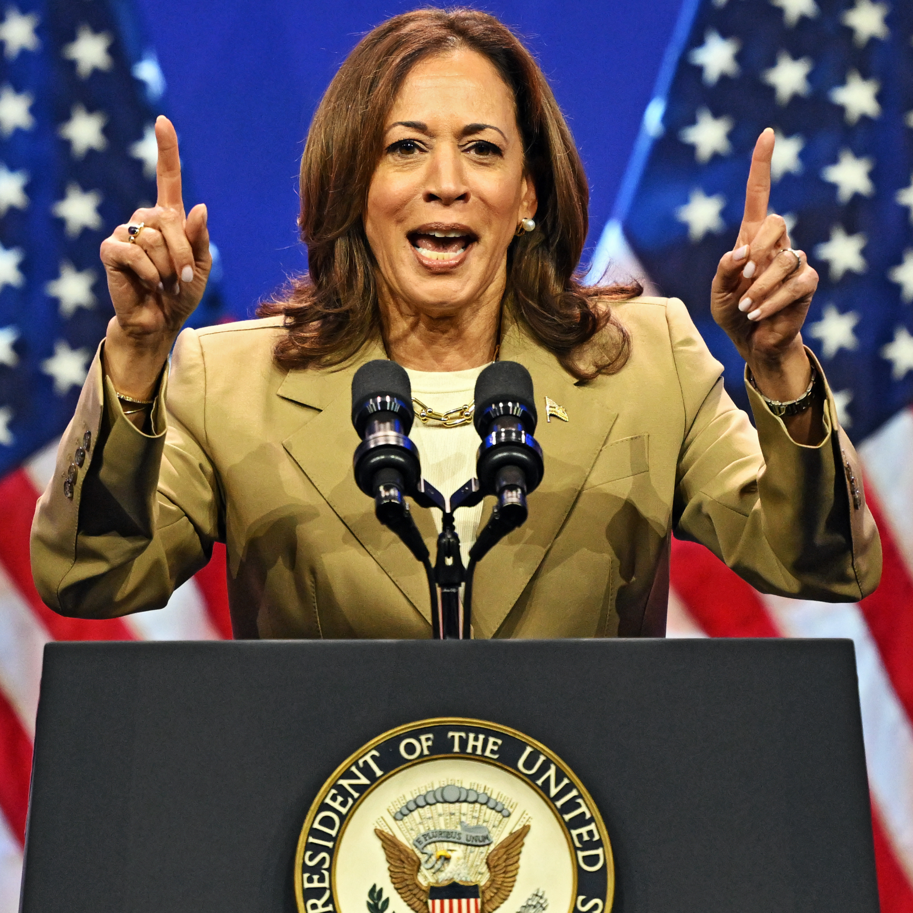 Kamala, 2028 episode artwork
