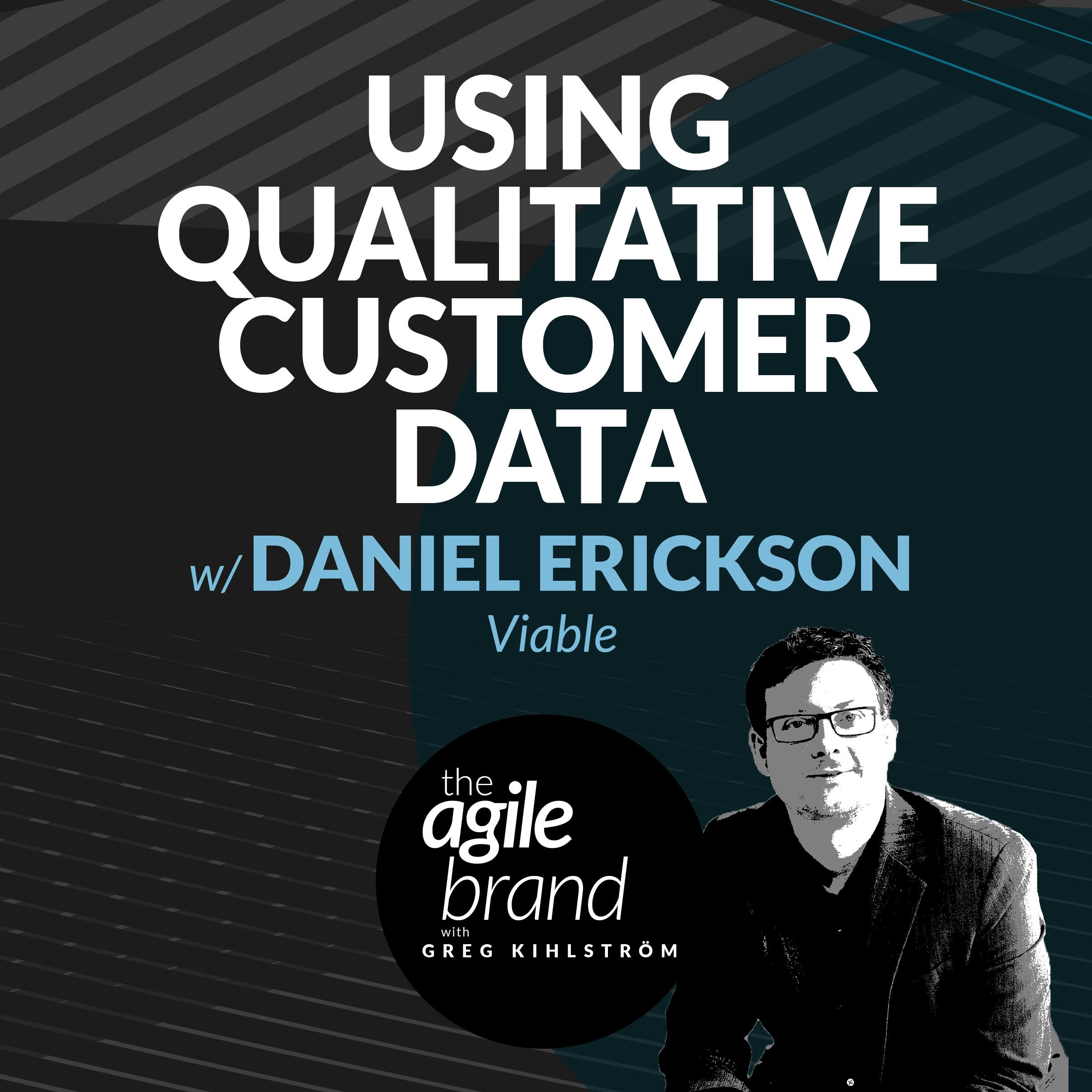 Using qualitative customer data well with Daniel Erickson, Viable