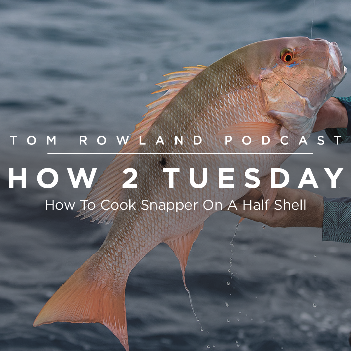 HOW 2 TUESDAY #22 - How To Cook Snapper On A Half Shell