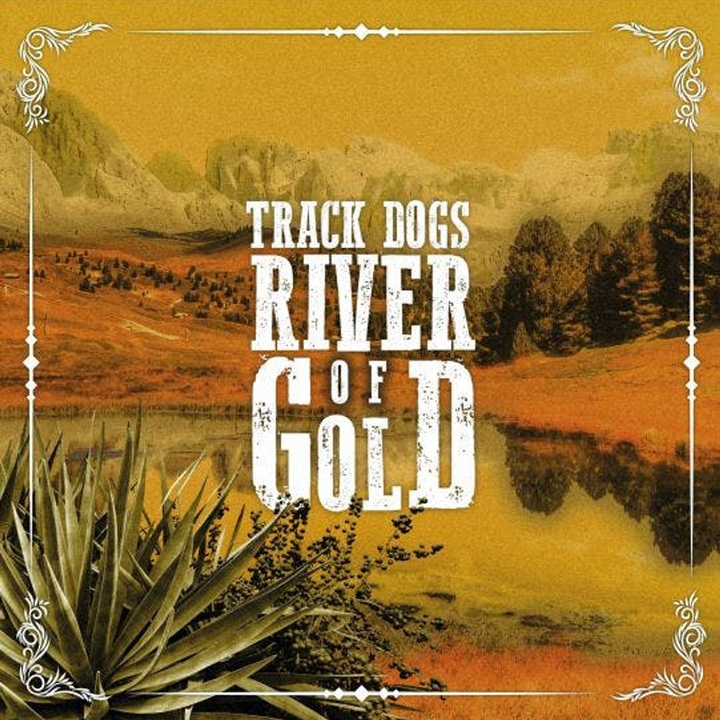 Track Dogs Interview