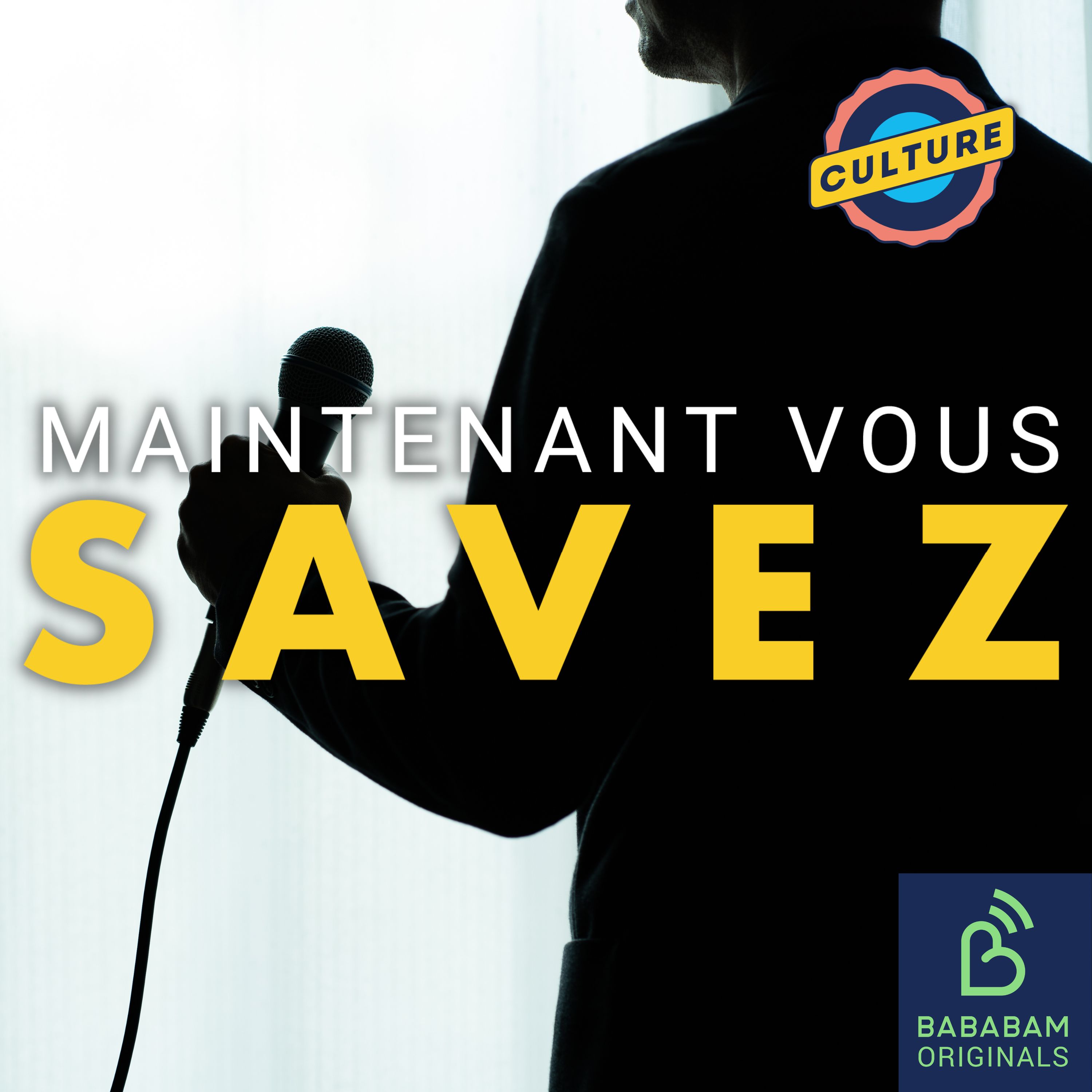 Pourquoi certains artistes changent-ils de nom ?