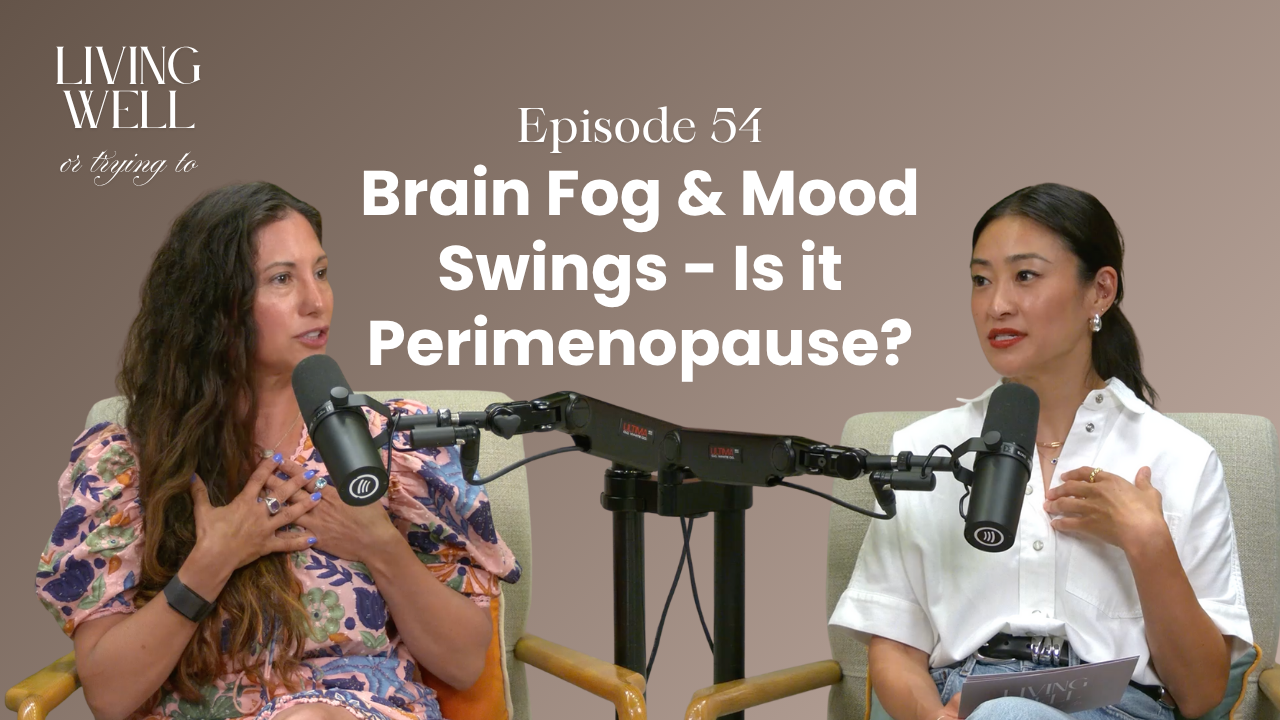 Episode 54: Brain Fog, Mood Swings & More: Recognizing Perimenopause Symptoms with Dr. Mariza Snyder