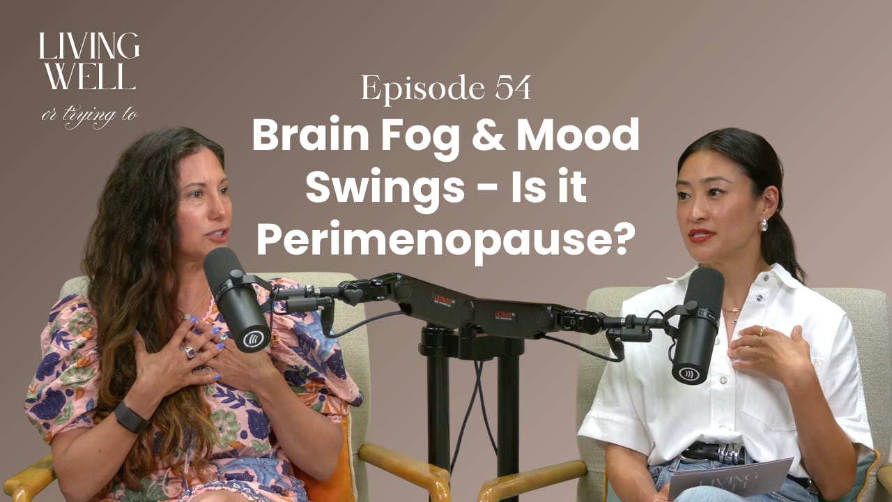 Episode 54: Brain Fog, Mood Swings & More: Recognizing Perimenopause Symptoms with Dr. Mariza Snyder Episode 54: Brain Fog, Mood Swings & More: Recognizing Perimenopause Symptoms with Dr. Mariza Snyder