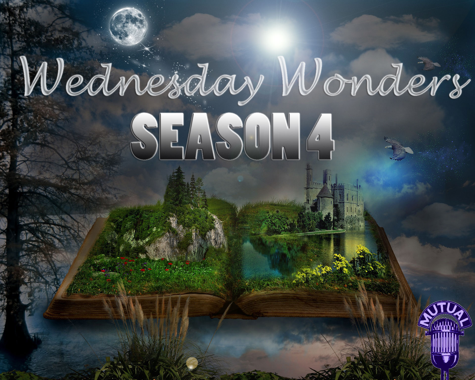 Wednesday Wonders for November 30th, 2022