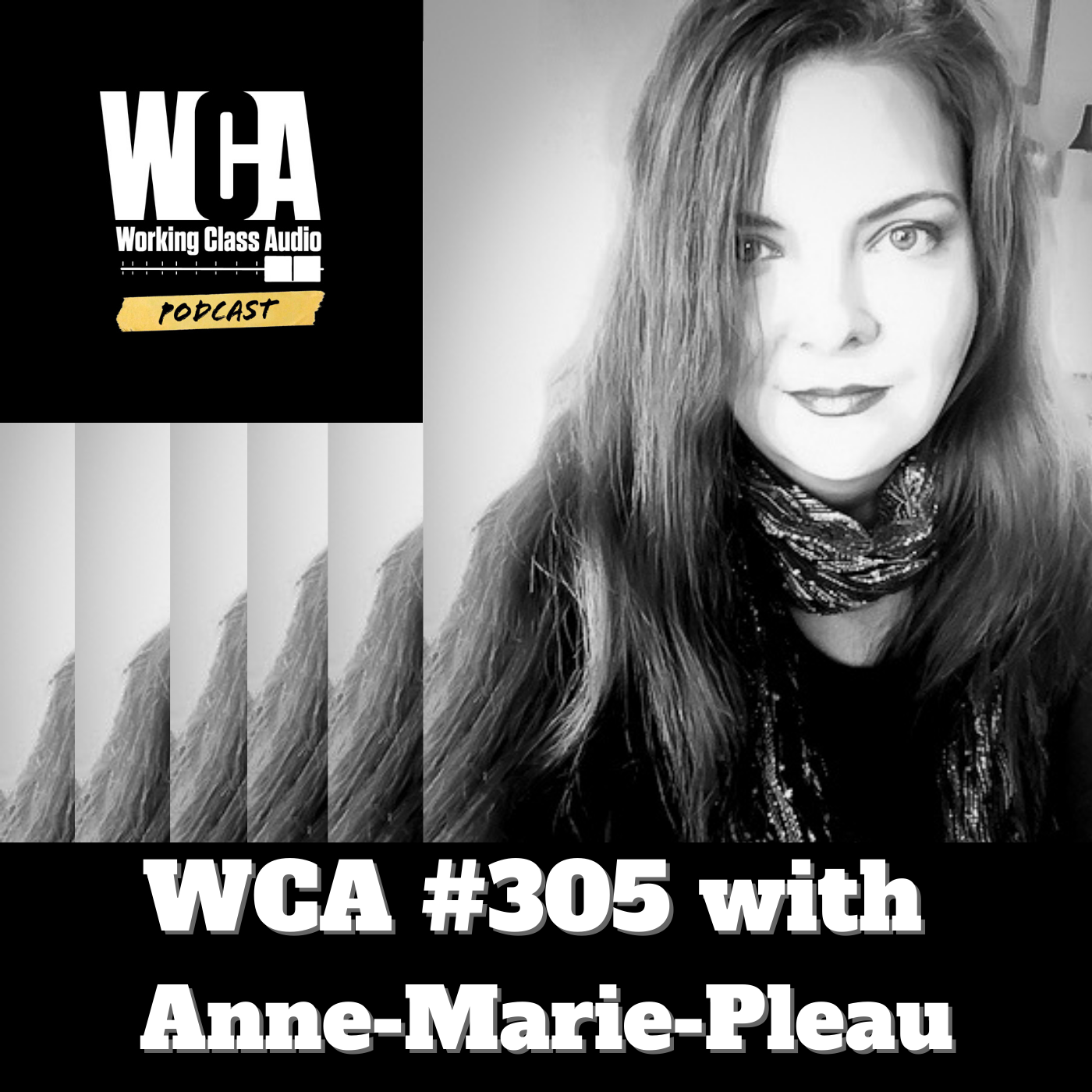 WCA #305 with Anne-Marie Pleau - Saying Yes to Gigs, Album Credits, 9 to 5, Health Care, Moving to Hawaii, and Starting Audio Later in Life