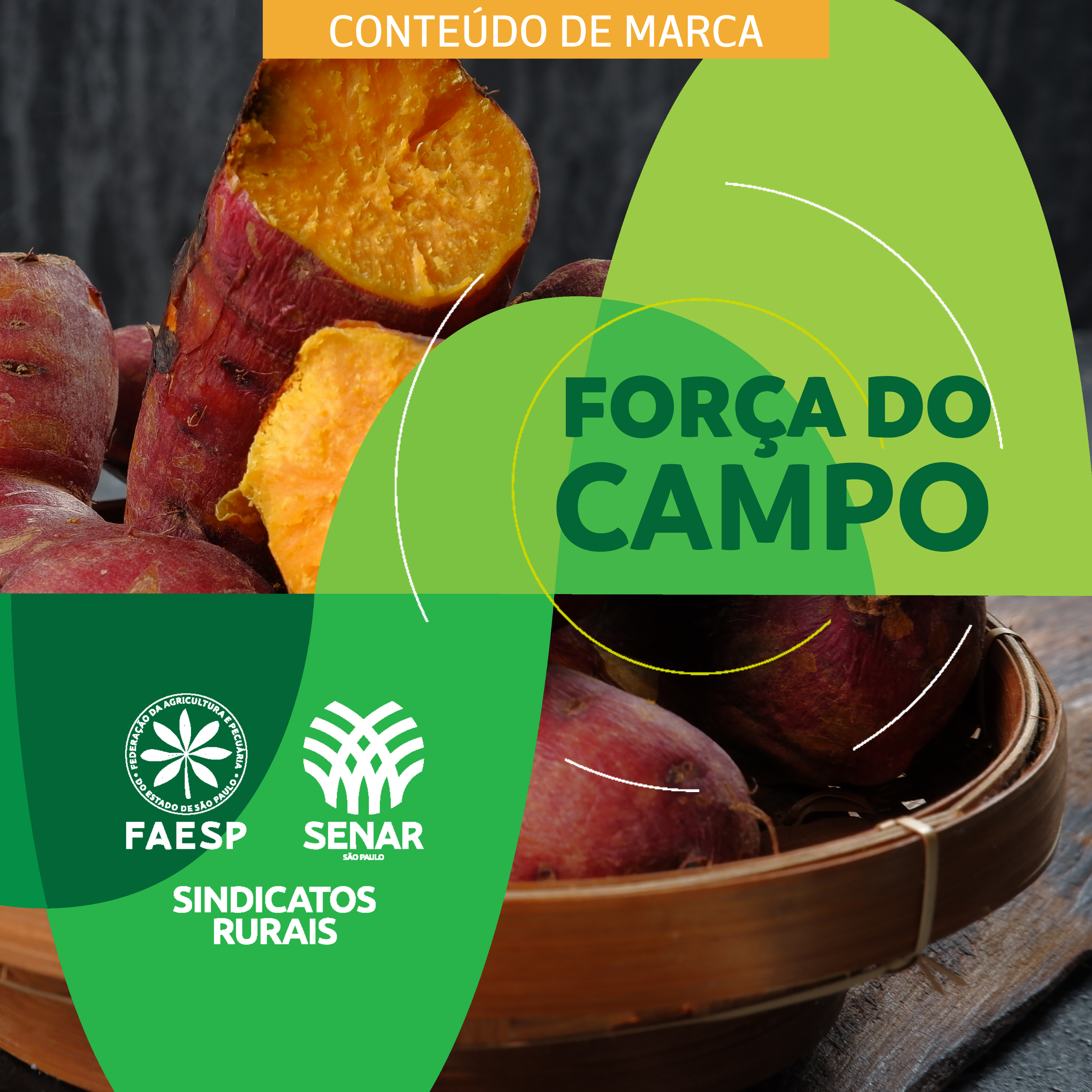 BATATA-DOCE