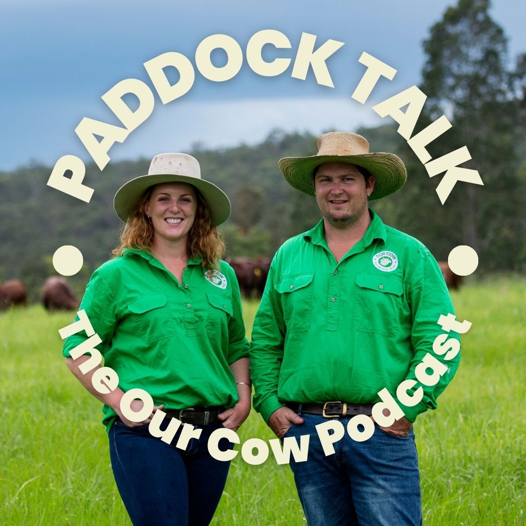 Paddock Talk - The Our Cow Podcast