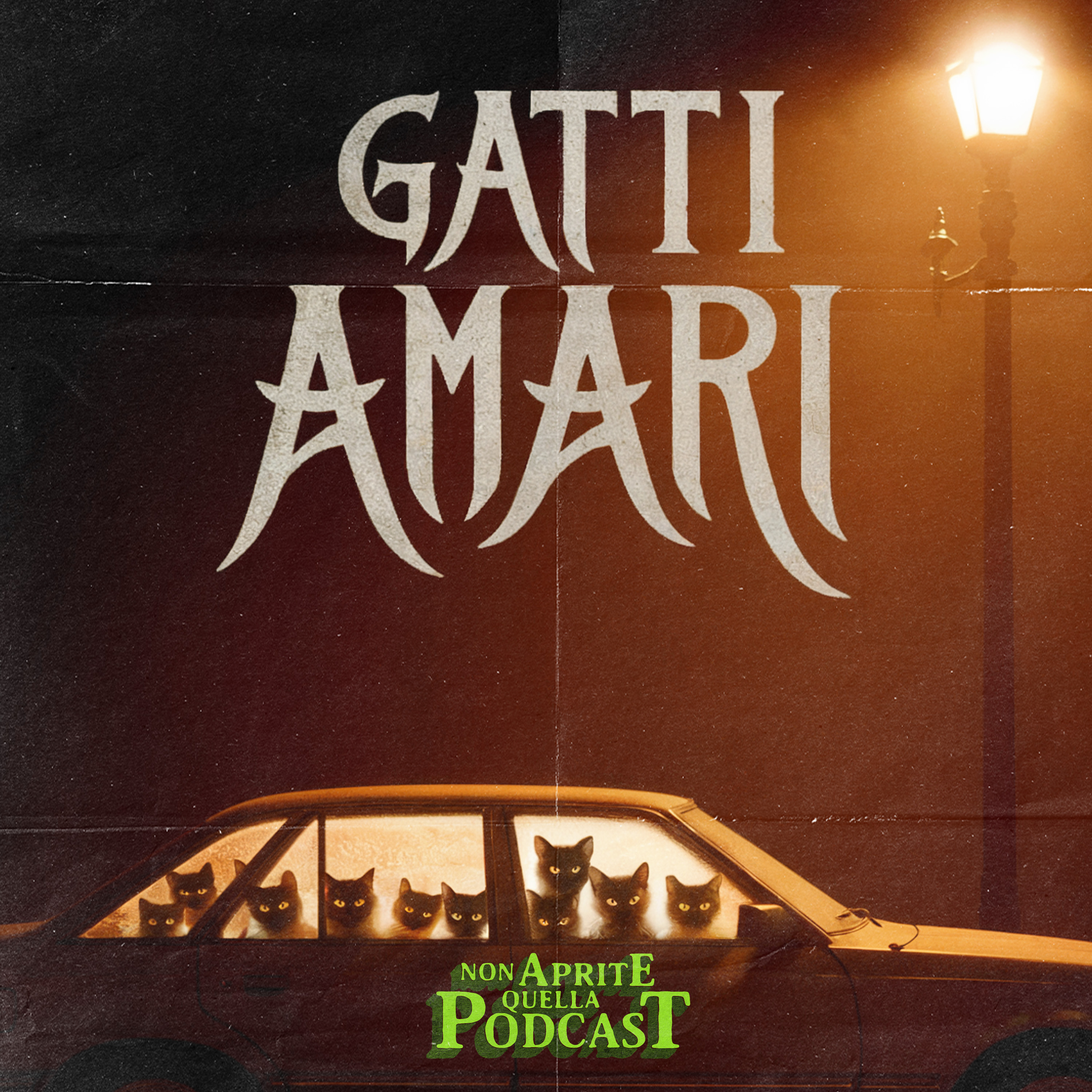 Il Caso della Setta dei Gatti - Gatti Amari