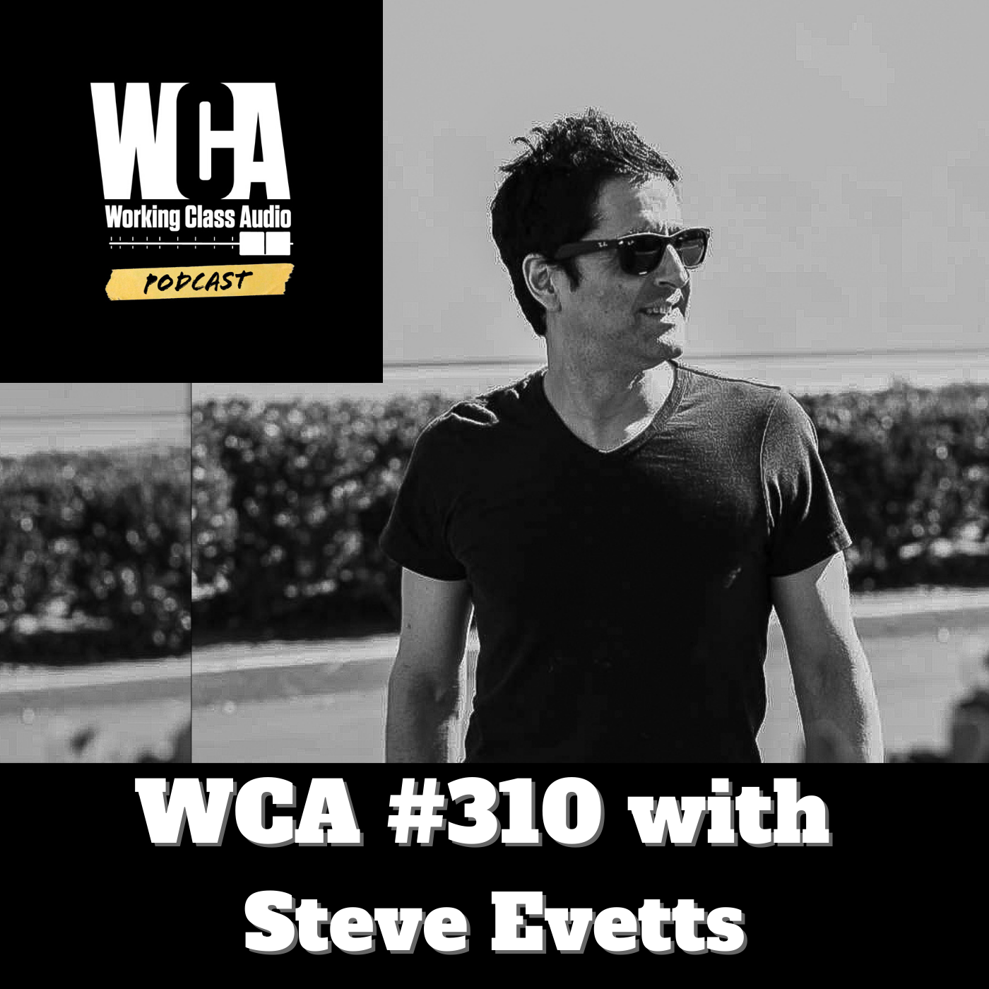 WCA #310 with Steve Evetts - Knowing Your Worth, Repeat Clients, Dealing with Opinions, The Moment Of Discovery, and The Power of Commitment