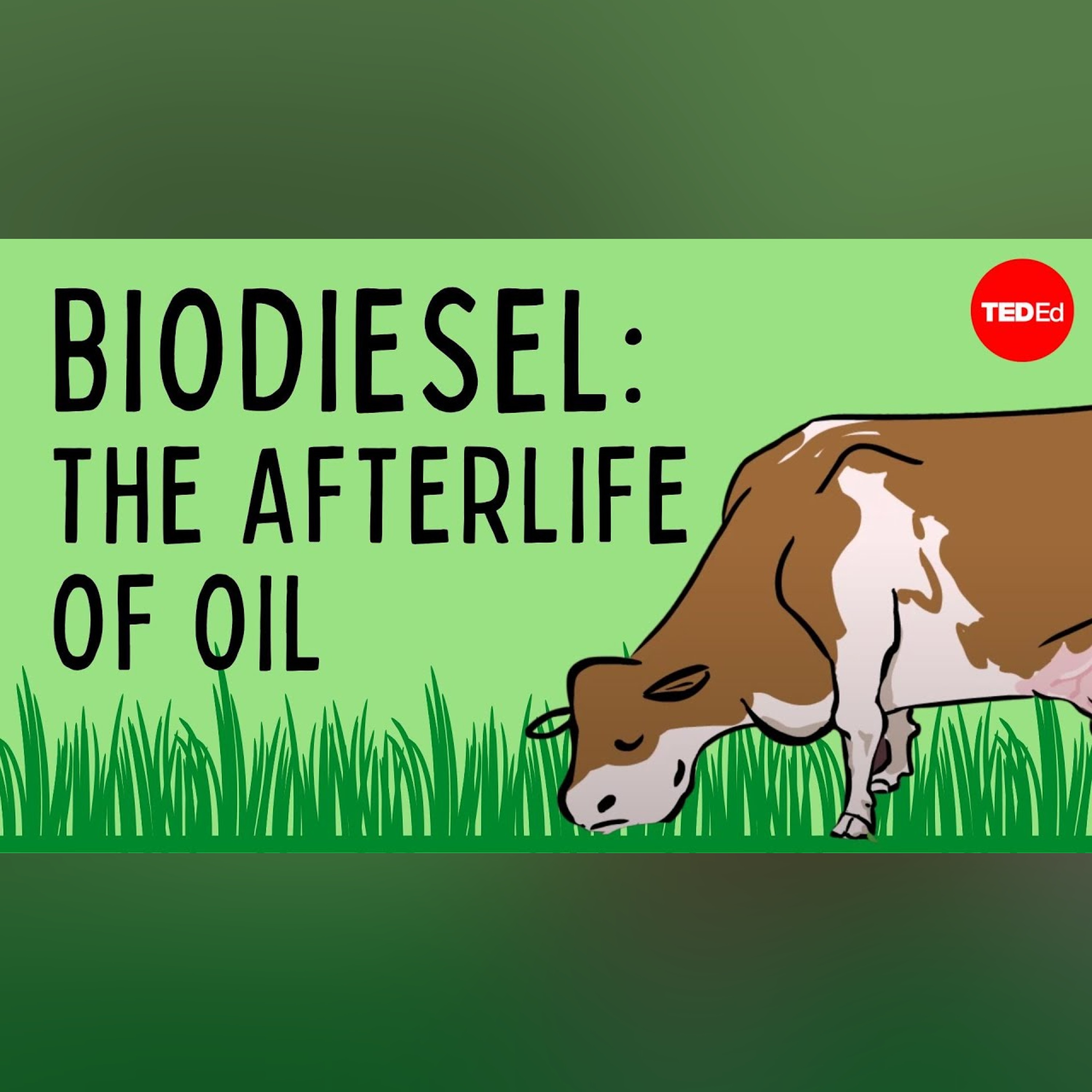 Biodiesel: The afterlife of oil - Natascia Radice episode artwork