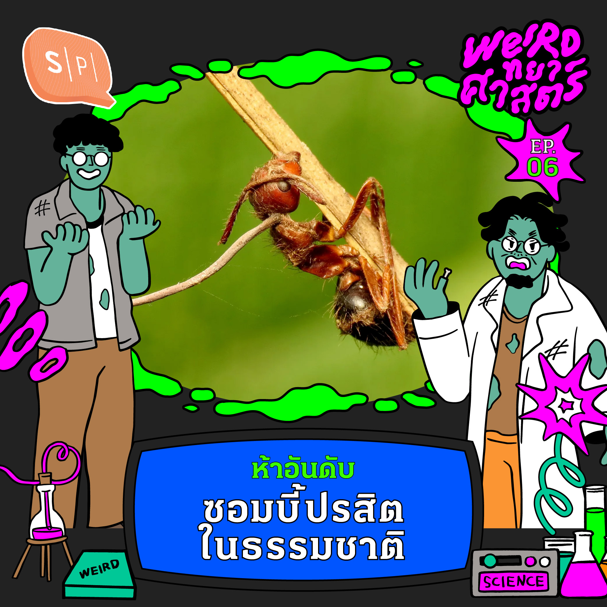 ห้าอันดับ ซอมบี้ในธรรมชาติ | Weirdทยาศาสตร์ EP06