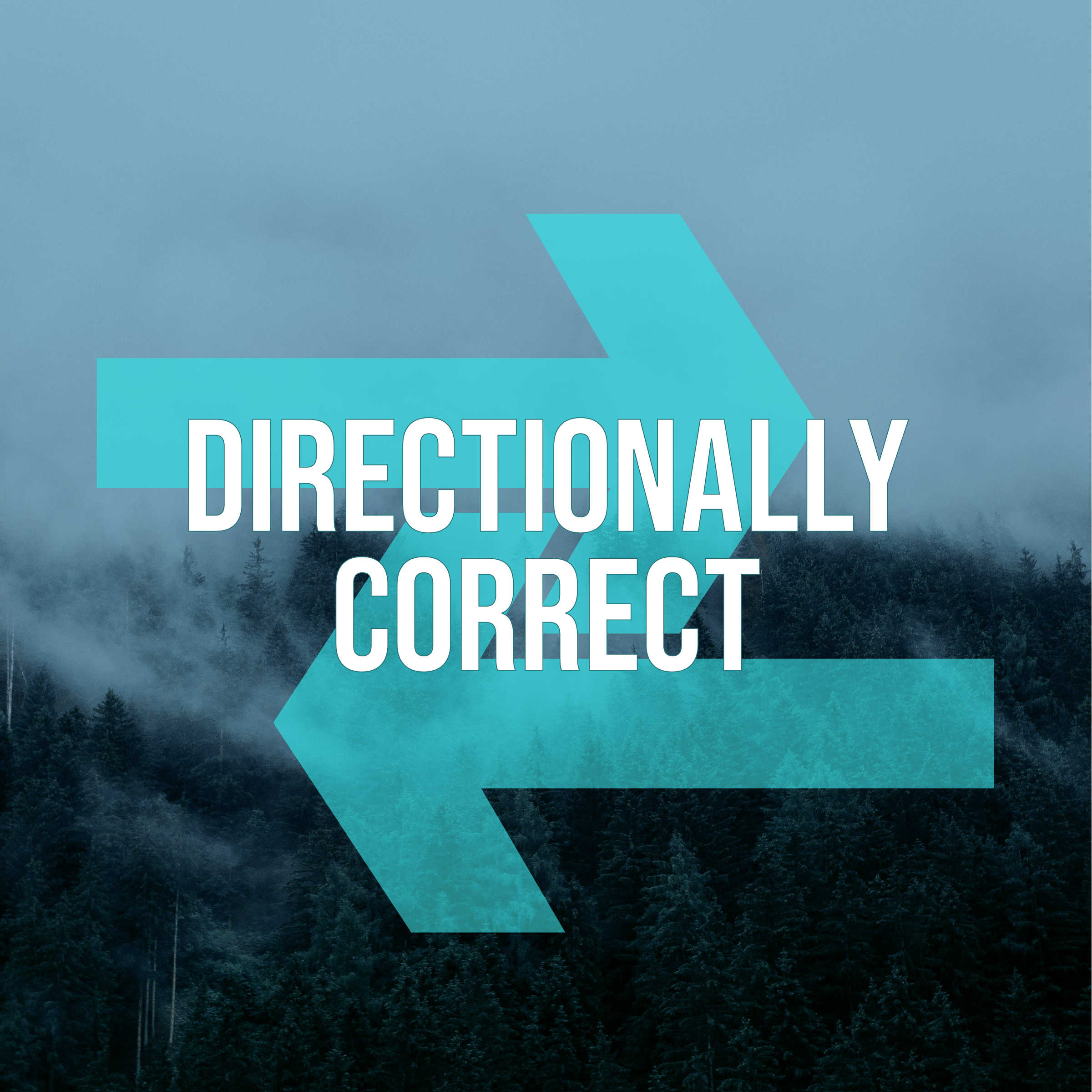Directionally Correct, A People Analytics Podcast