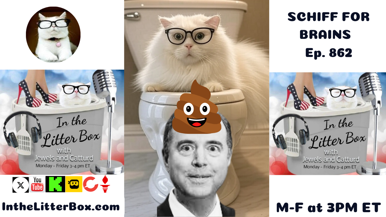 SCHIFF FOR BRAINS | In the Litter Box w/ Jewels & Catturd – Ep. 862 – 8/13/2025