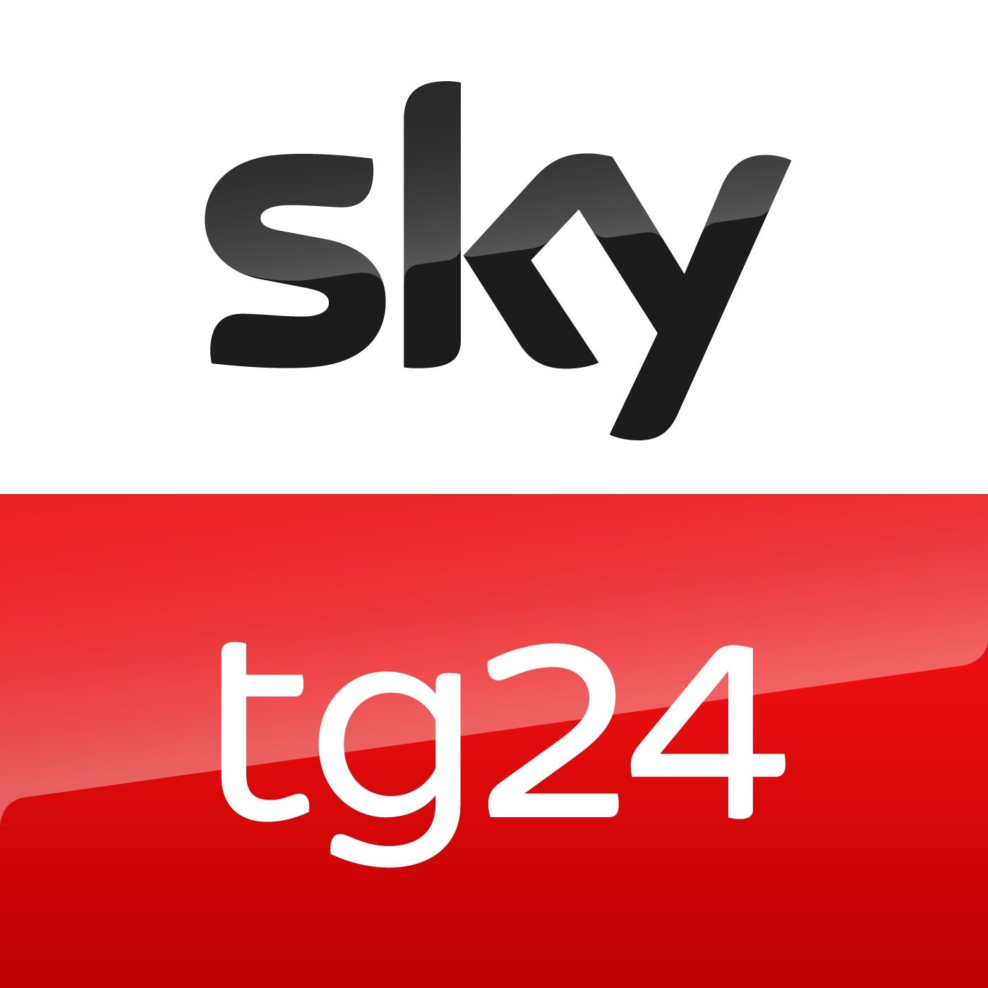 Sky TG24: le notizie delle 21.13 episode artwork