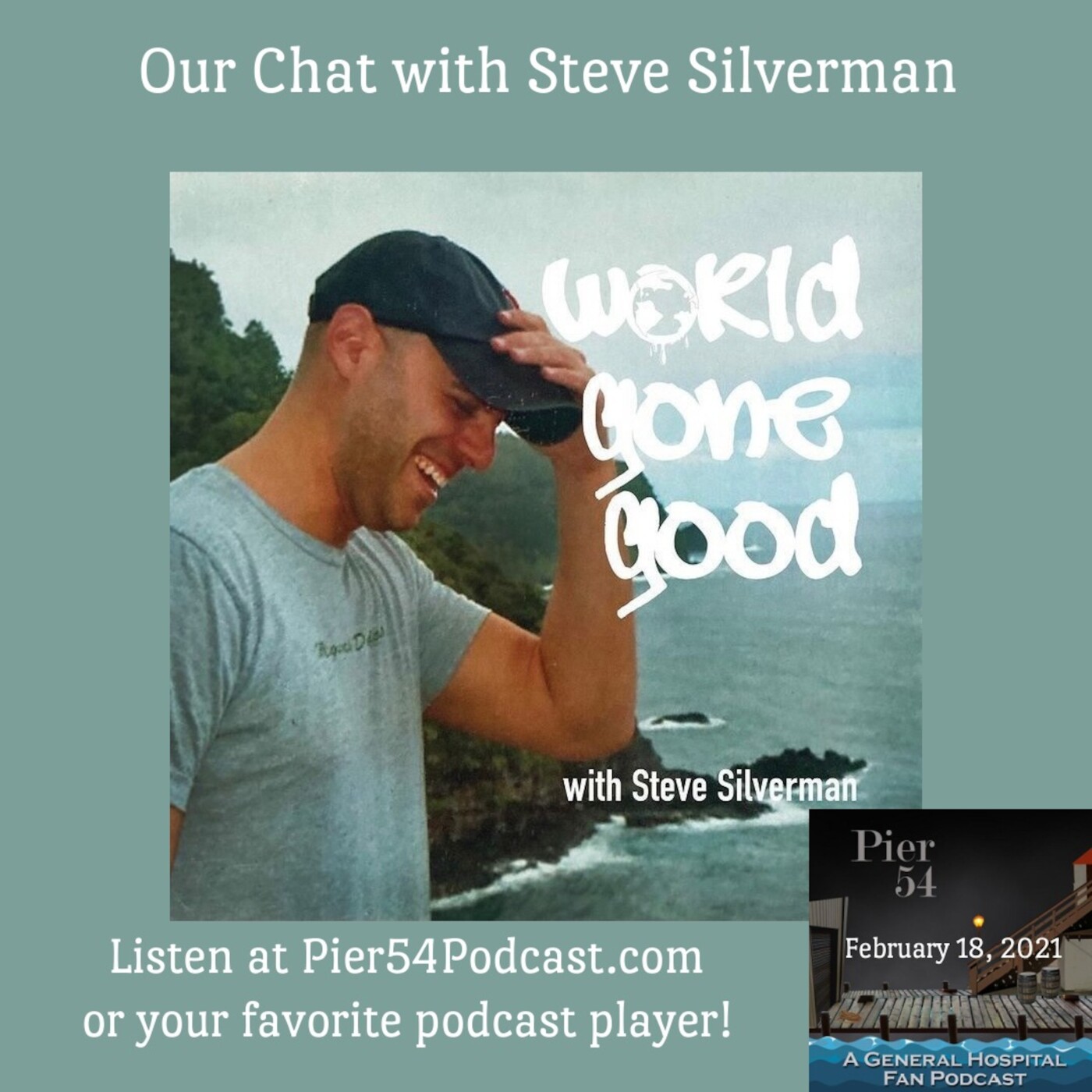 Episode 206: The  Port Charles 411: Our Chat with Steve Silverman episode artwork