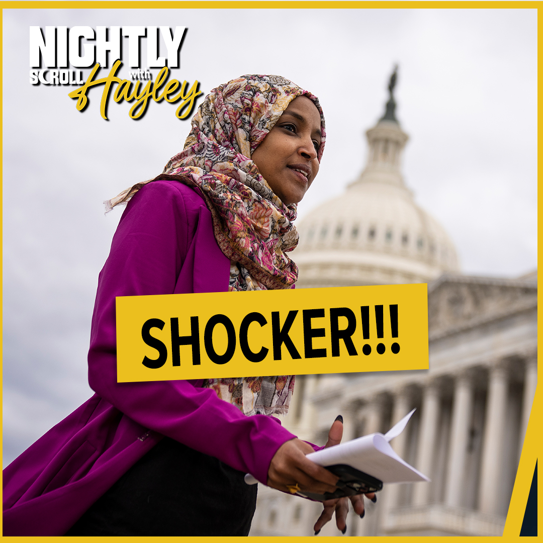 Democrat "Squad" Runs Cover For Somali Fraudsters - Hayley Caronia (Ep.192)