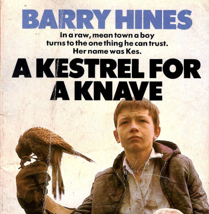 A Kestrel For a Knave by Barry Hines (from Green Man Festival)