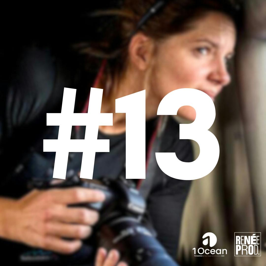 Plongeon en Terres australes Plongeon en Terres australes