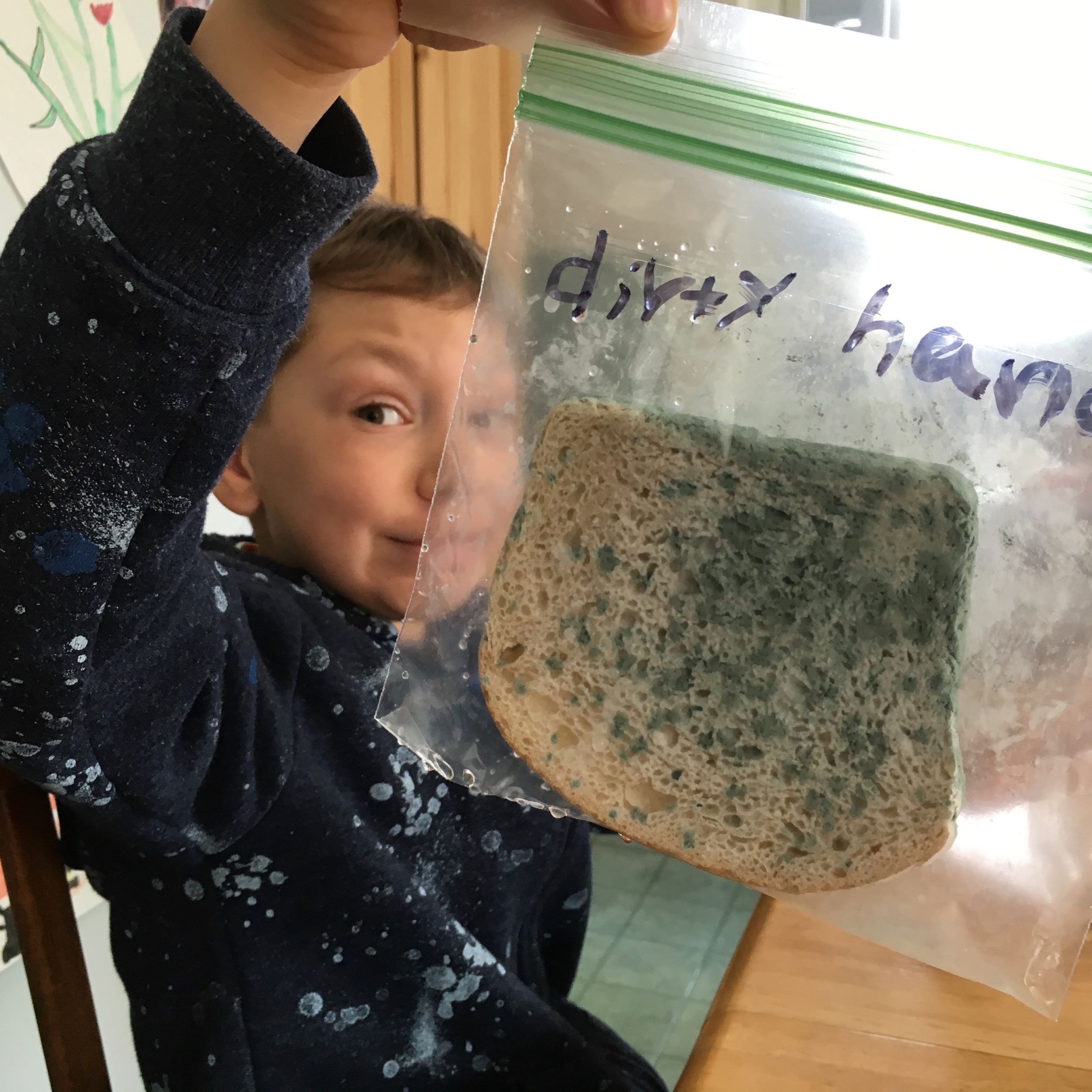 Inside/In: Moss & Mold