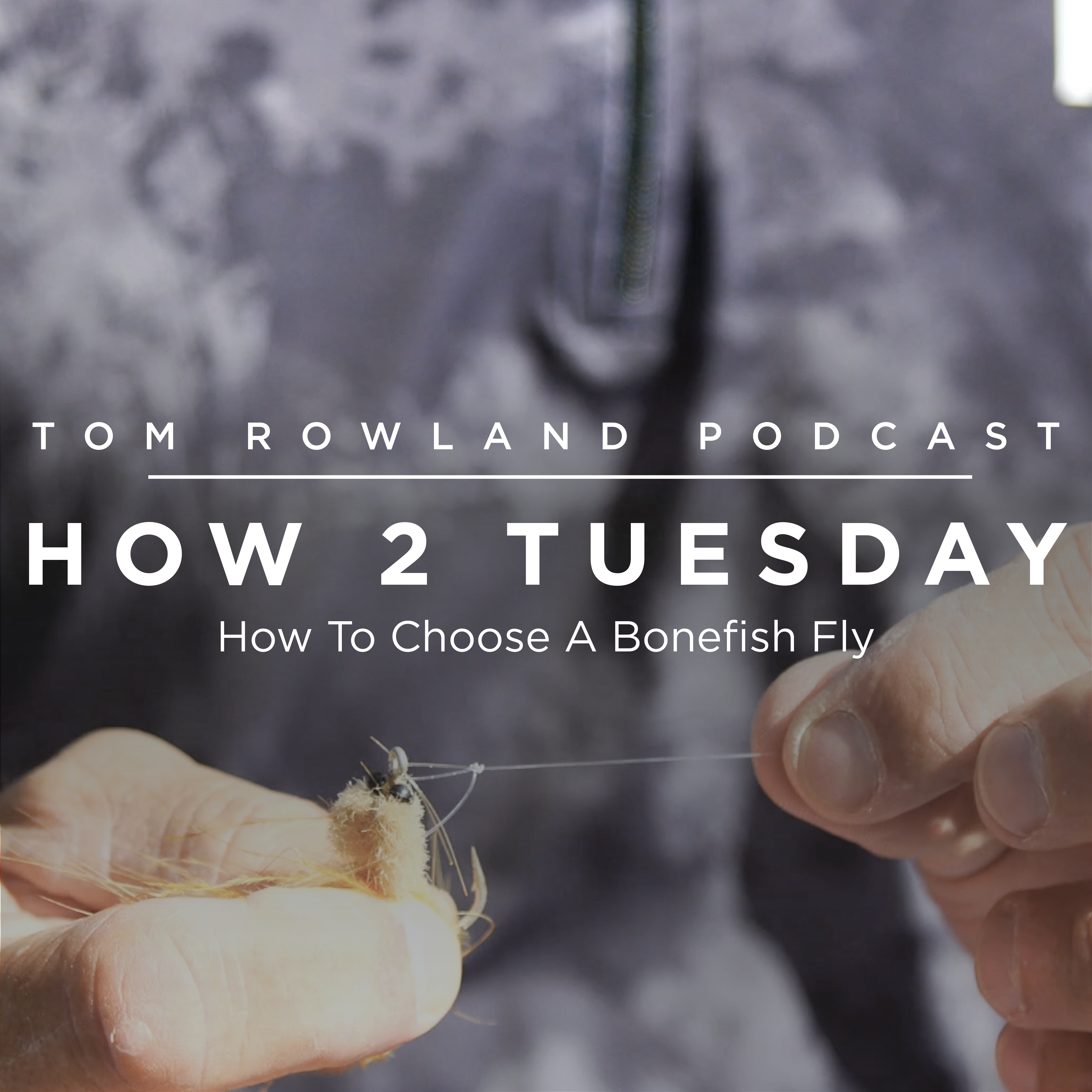 HOW 2 TUESDAY #20 - How To Choose A Bonefish Fly