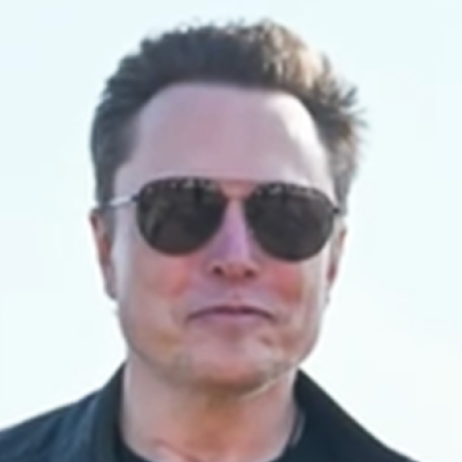 Does Elon Have Your SSN?