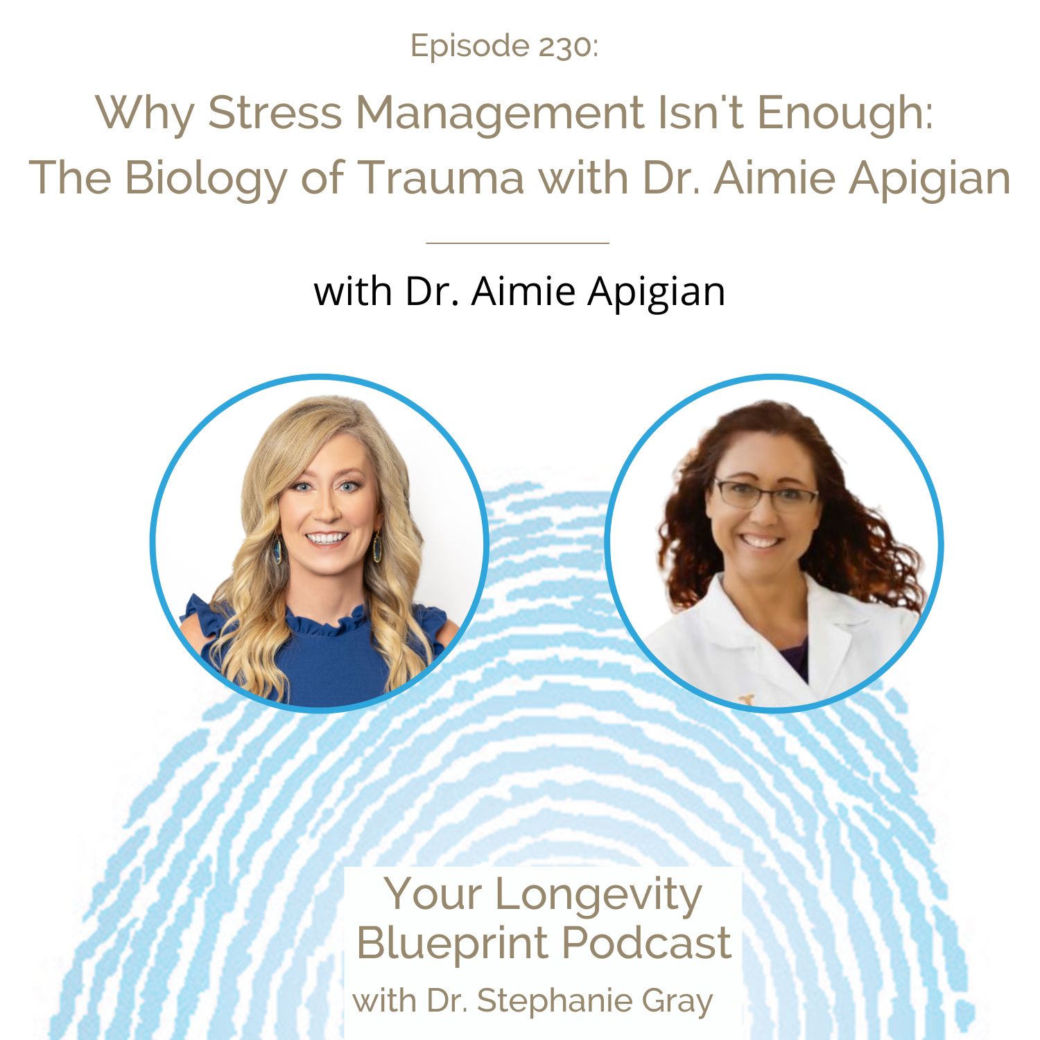 230: Why Stress Management Isn't Enough: The Biology of Trauma with Dr. Aimie Apigian