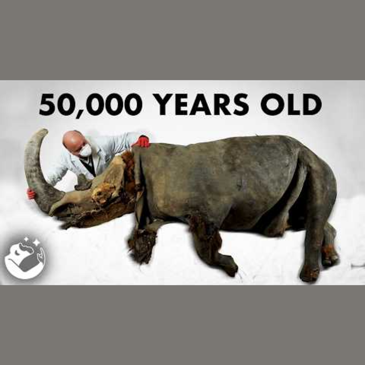 Every Extinct Animal We Have Found In Permafrost episode artwork