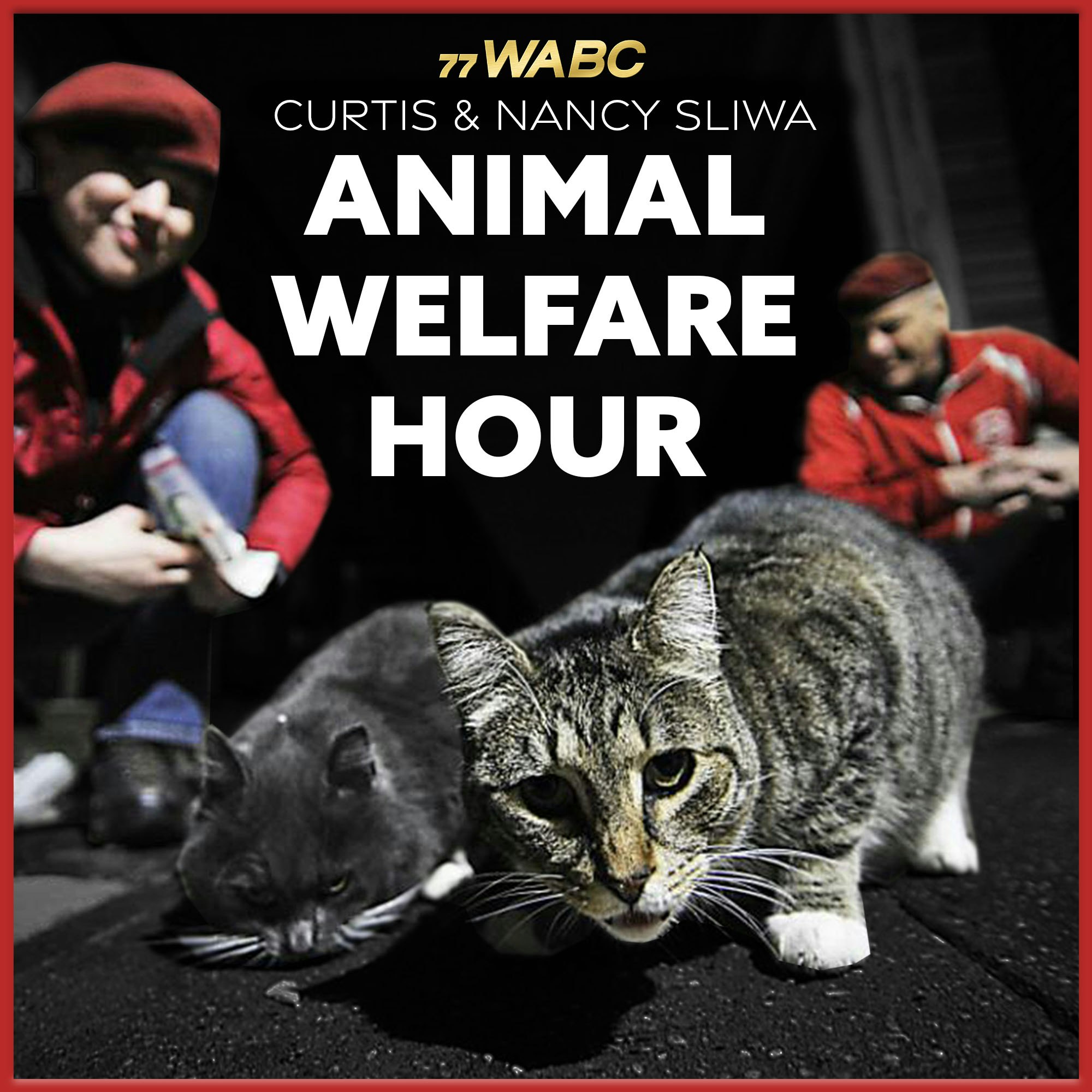 Curtis & Nancy Sliwa's Animal Welfare Hour