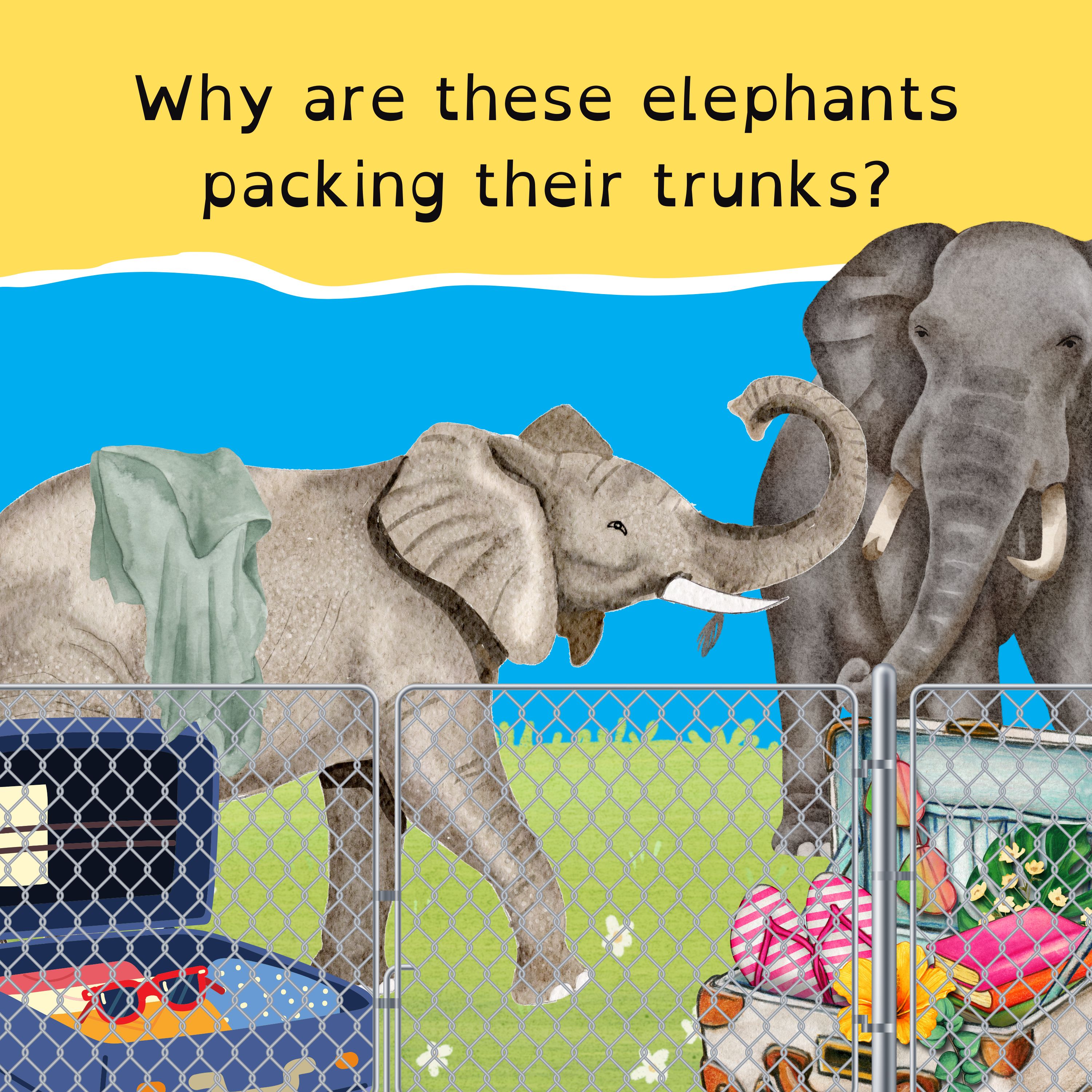 TikTok on the chopping block; TayTay albums breaks records everywhere; Elephants on the move at Taronga; and the world’s funniest crab joke.