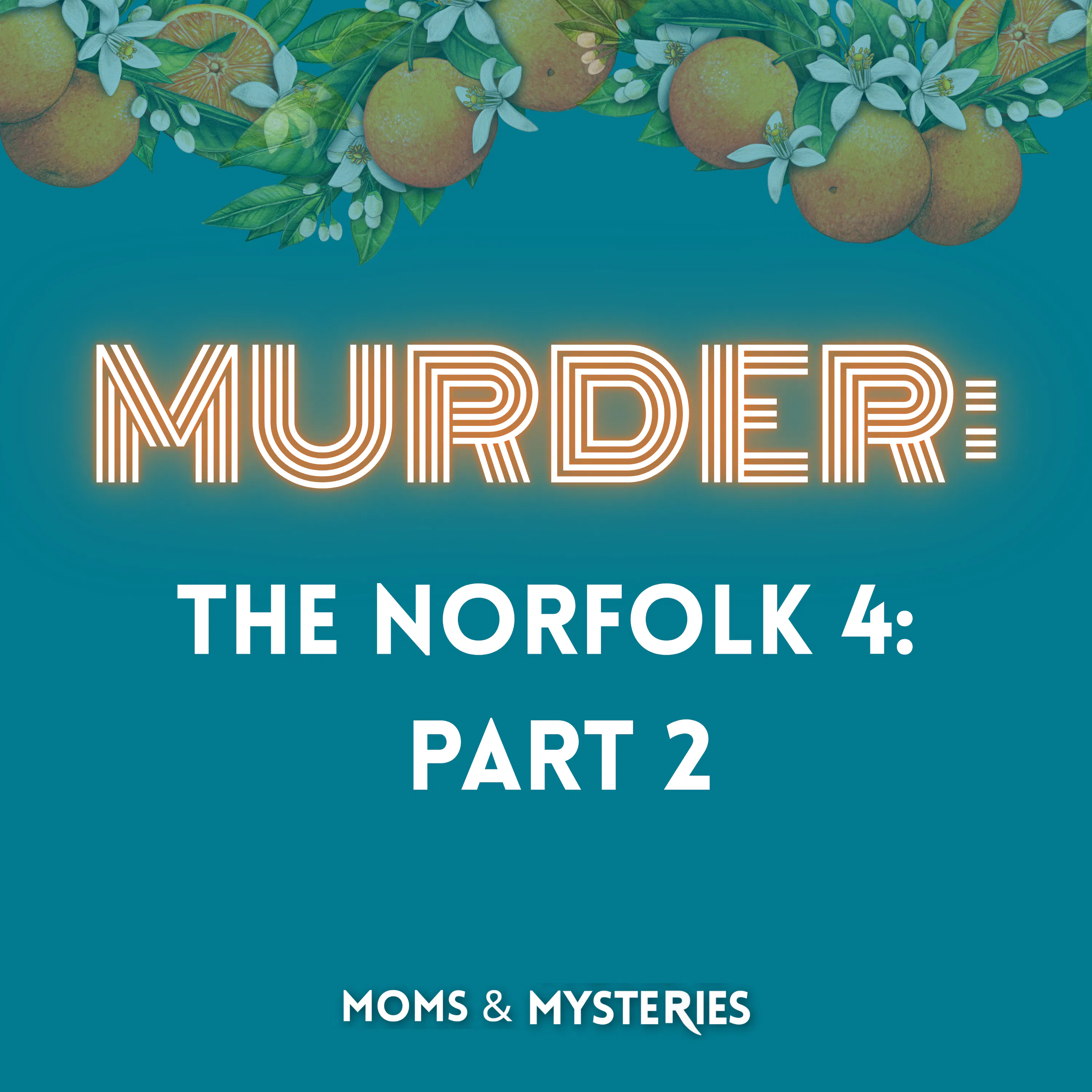The Norfolk 4- The Murder of Michelle Moore-Bosko Part 2