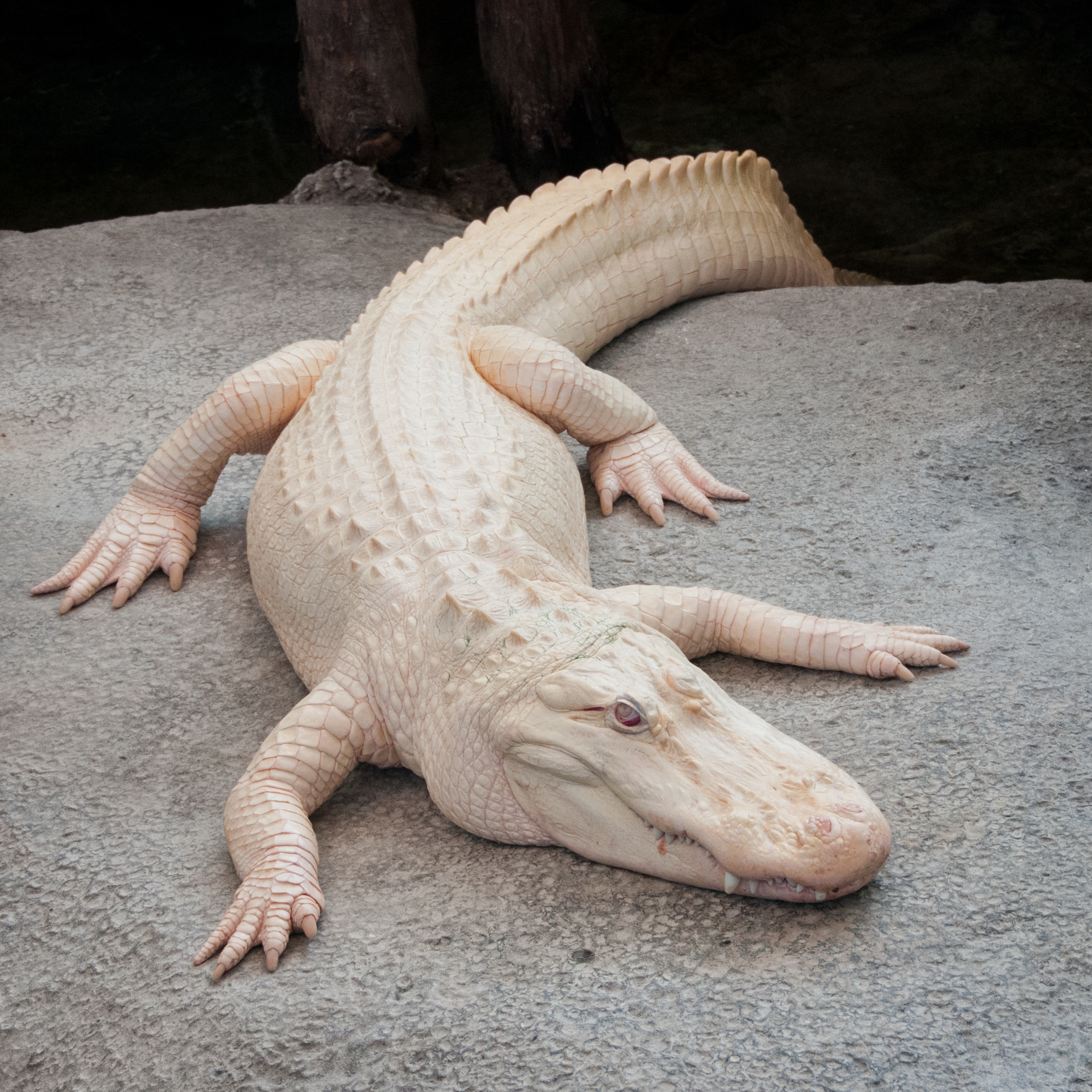 Pacific Standard Time