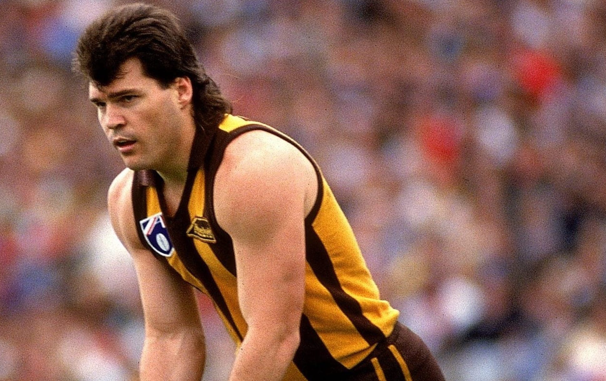 GOLDEN YEARS REVISITED: The greatest Hawk haul ever episode artwork