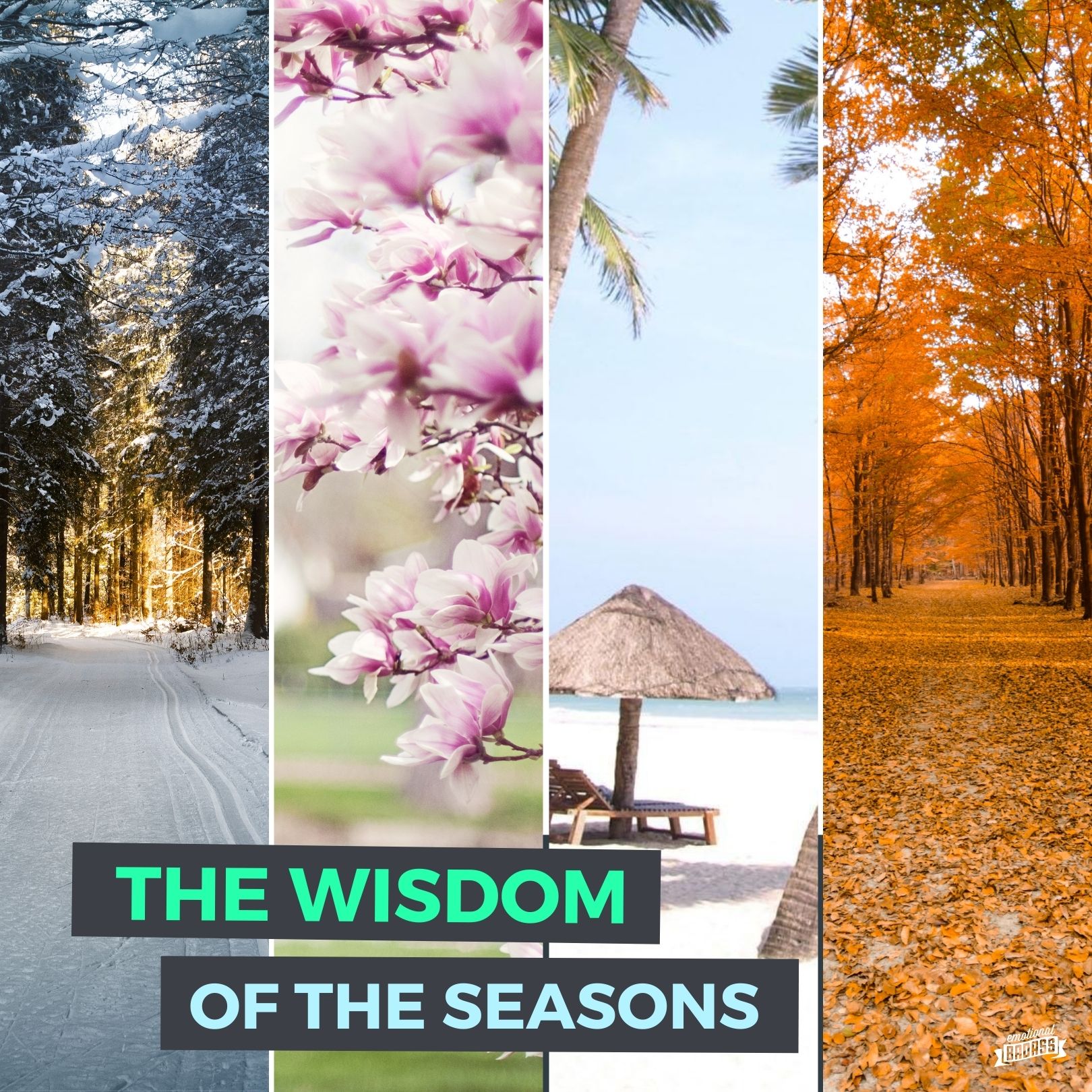 The Wisdom of the Seasons and Embracing Change for Improved Mental Health