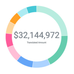 HCM Technology Report