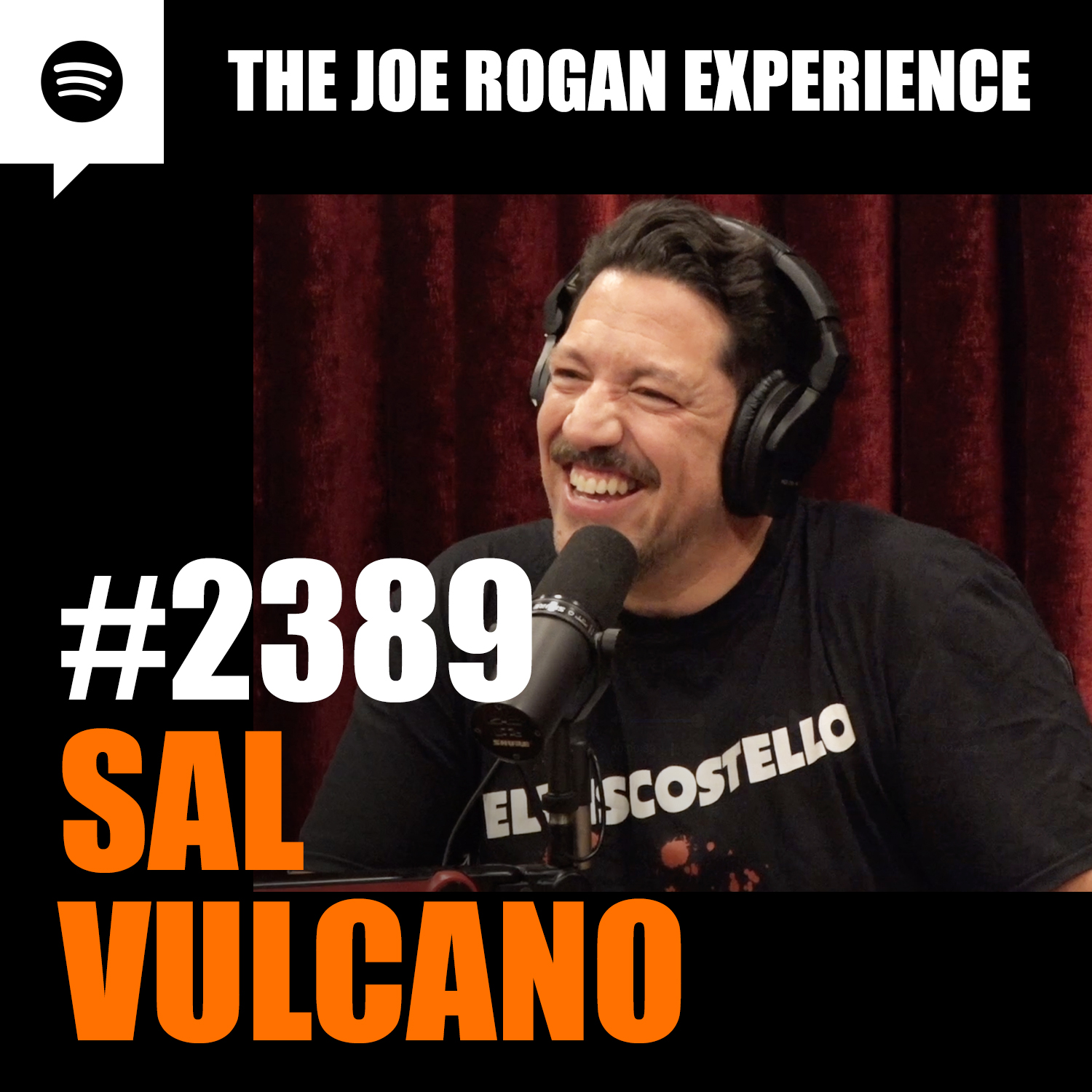 #2389 - Sal Vulcano