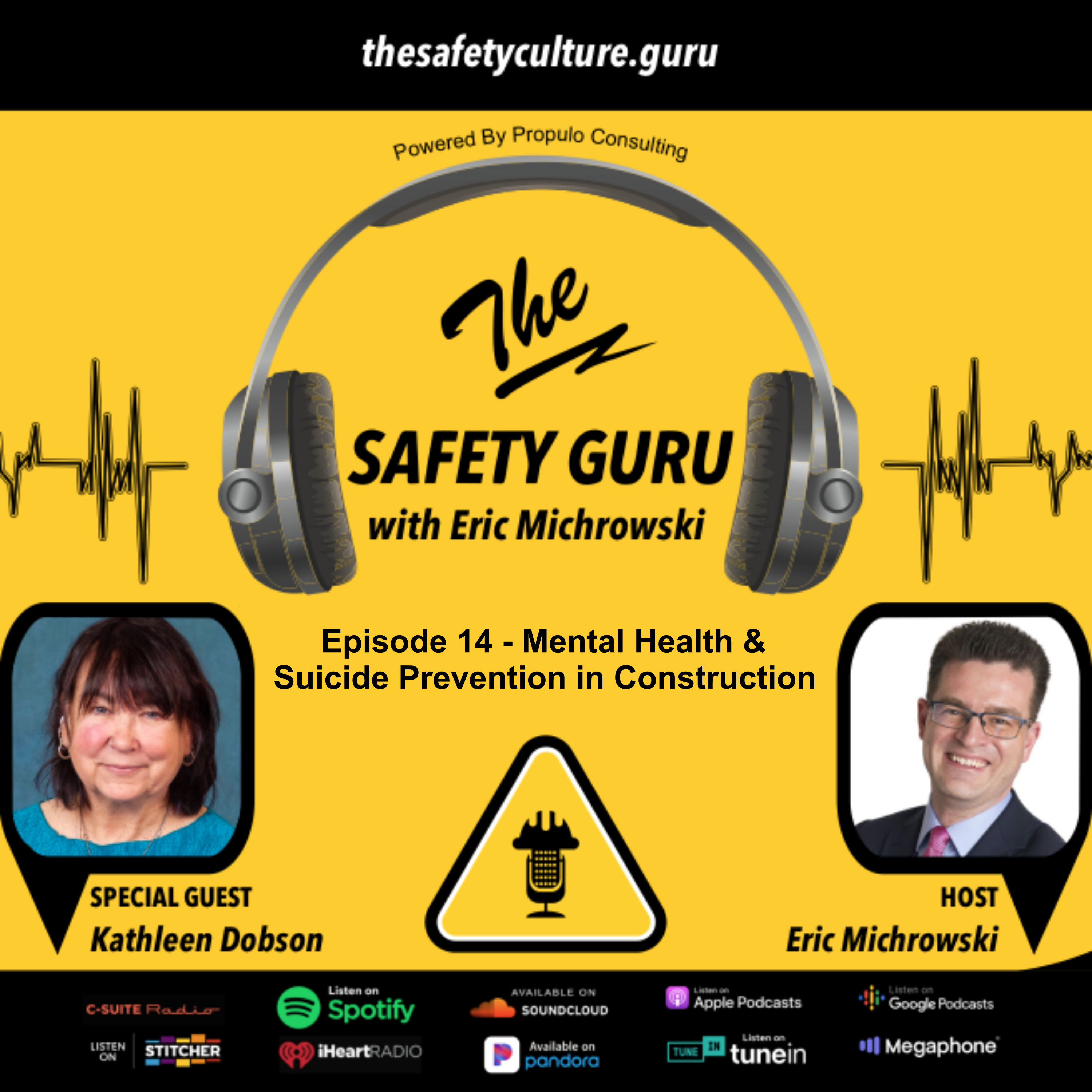 The Safety Guru