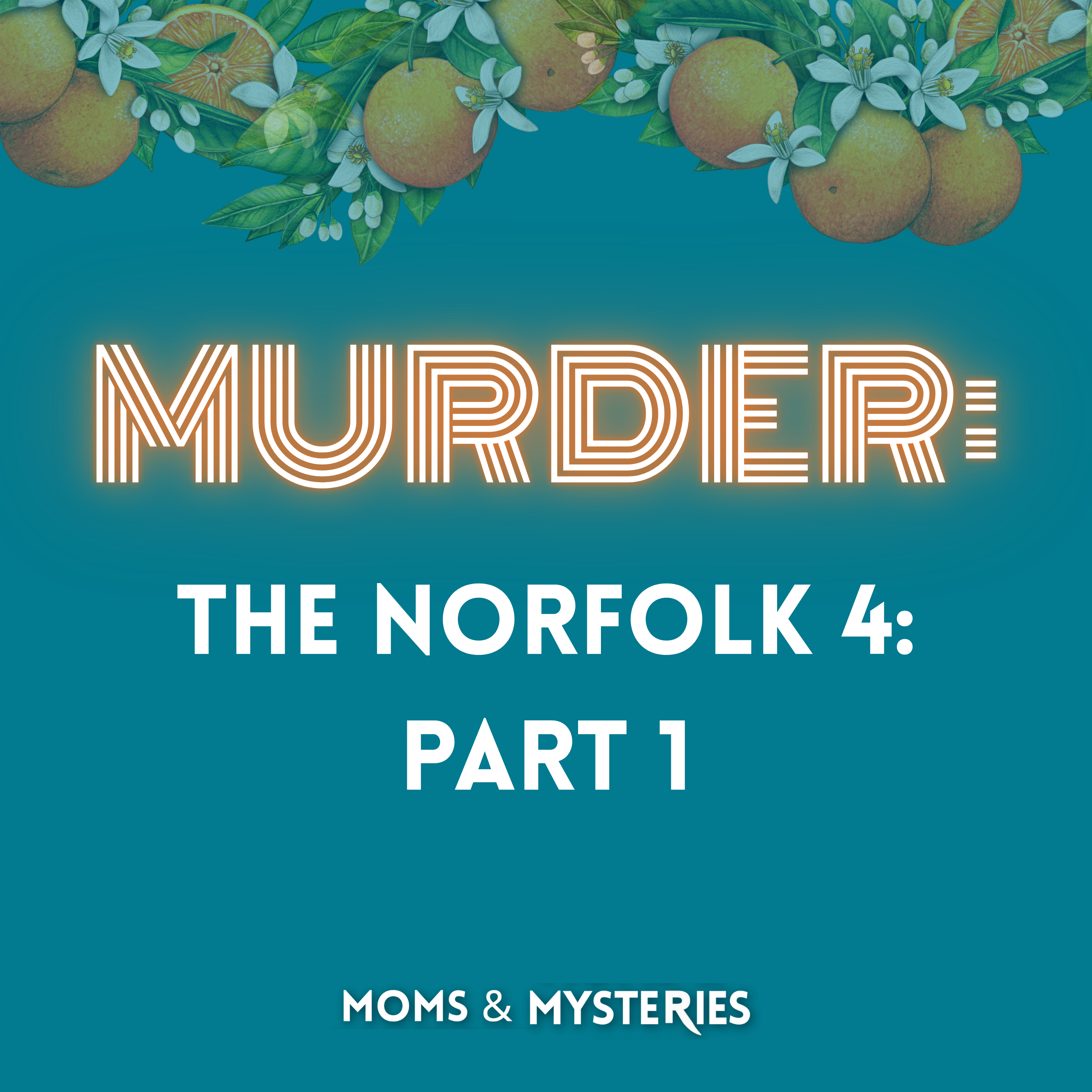 The Norfolk 4- The Murder of Michelle Moore-Bosko Part 1