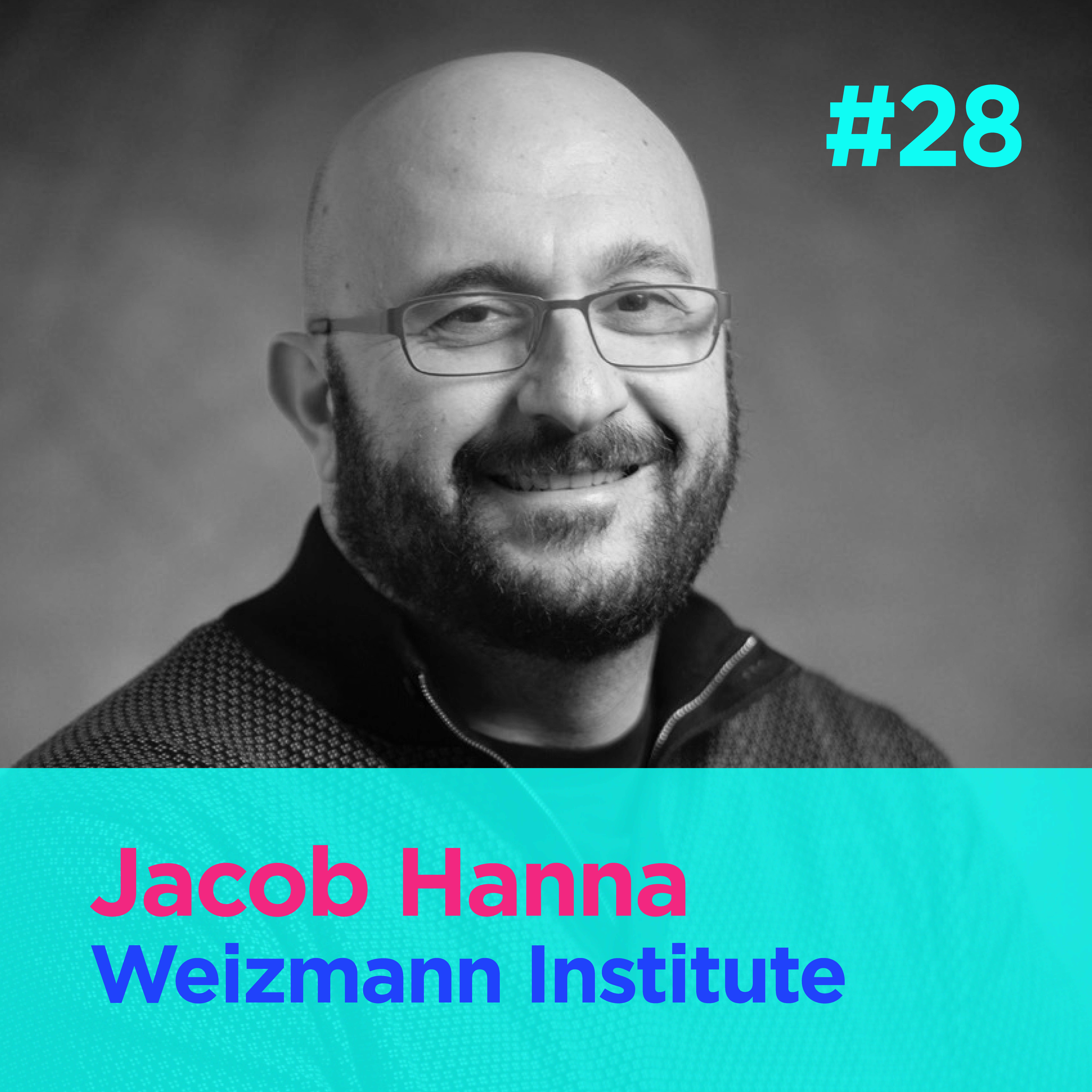 [SNIPPET] - Jacob Hanna on the ethical implications of human embryo models episode artwork