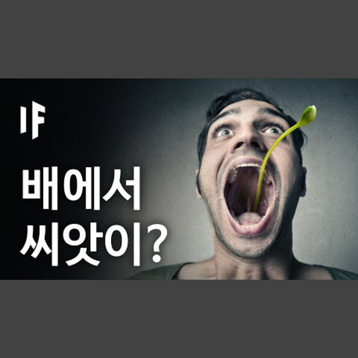 만약에 배에서 씨앗이 자랄 수 있다면? | 만약에 What If Korea episode artwork