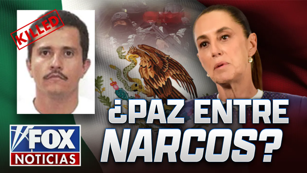 ¿Paz entre narcos? ¿Paz entre narcos?