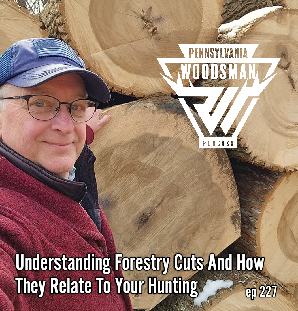 Pennsylvania Woodsman - Understanding Forestry Cuts and How They Relate to Your Hunting